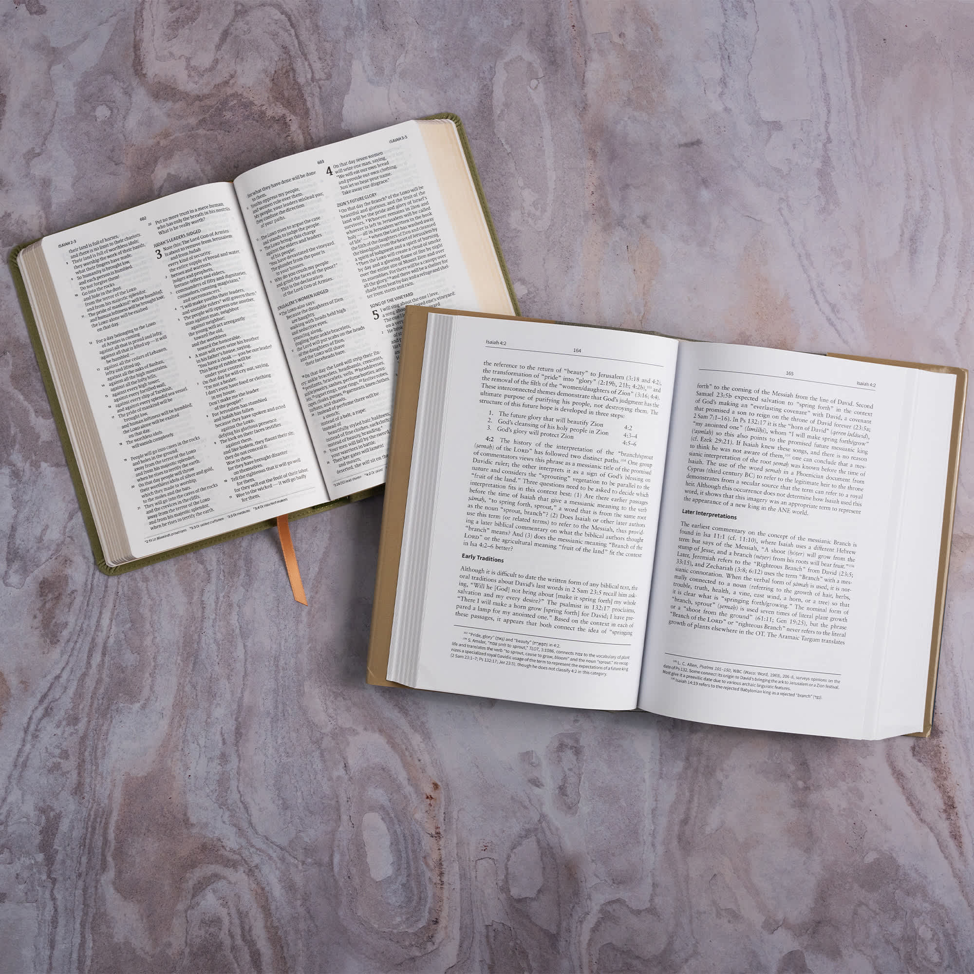 slide 4 of 12 for Isaiah 1-39: The Christian Standard Commentary