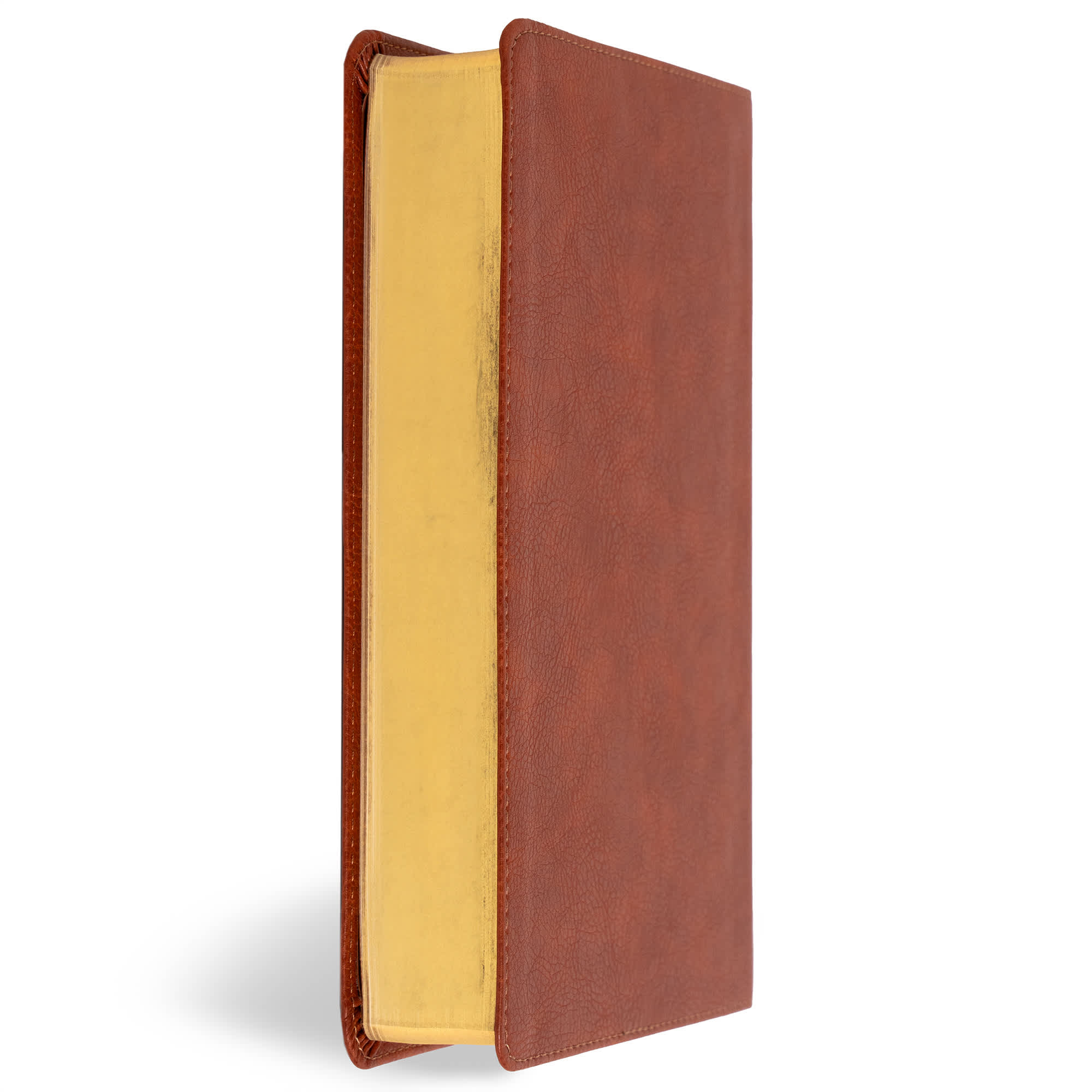 slide 4 of 12 for CSB Large Print Personal Size Reference Bible, Digital Study Edition, Burnt Sienna LeatherTouch