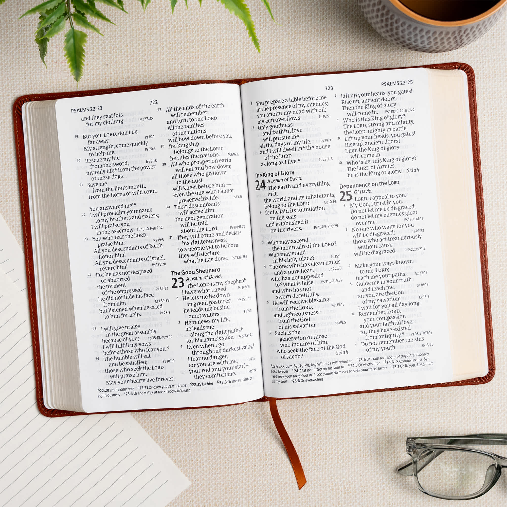 slide 5 of 12 for CSB Large Print Personal Size Reference Bible, Digital Study Edition, Burnt Sienna LeatherTouch