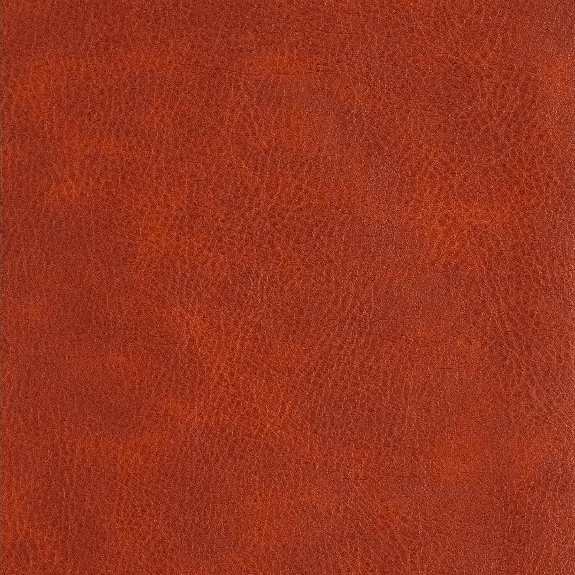 slide 10 of 12 for CSB Large Print Personal Size Reference Bible, Digital Study Edition, Burnt Sienna LeatherTouch