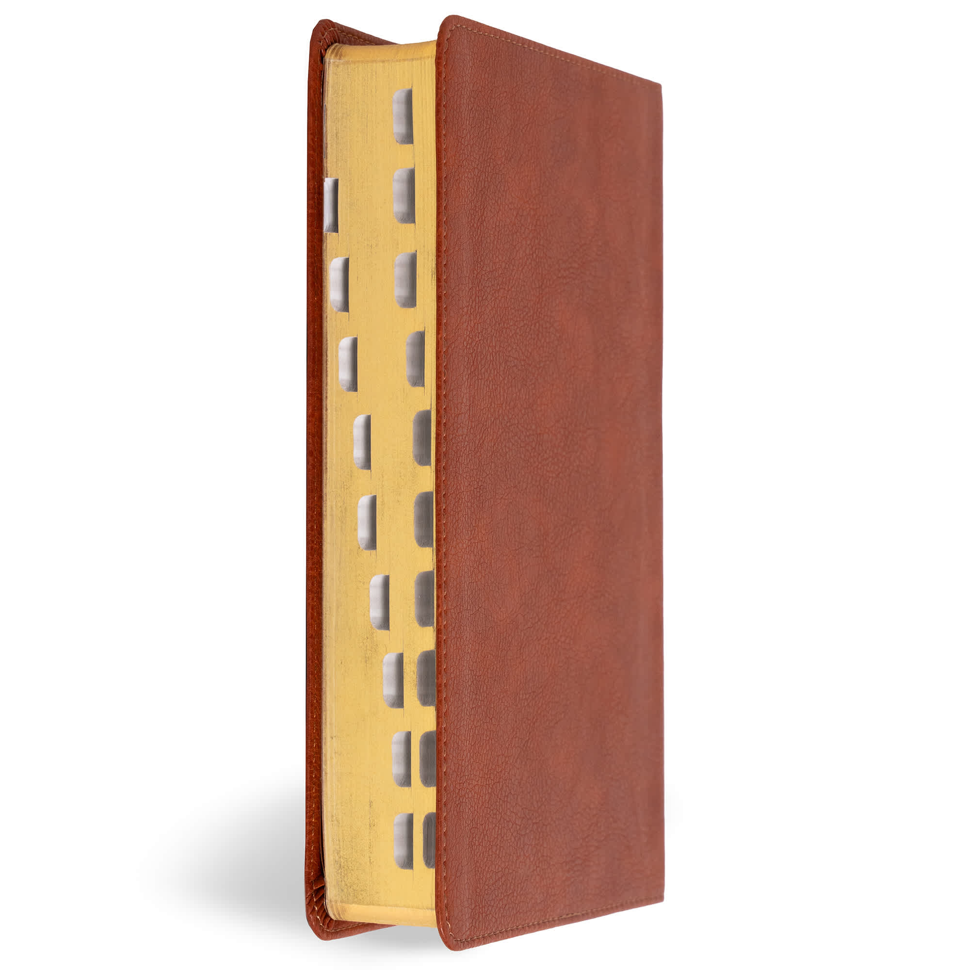 slide 4 of 12 for CSB Large Print Personal Size Reference Bible, Digital Study Edition, Burnt Sienna LeatherTouch, Indexed