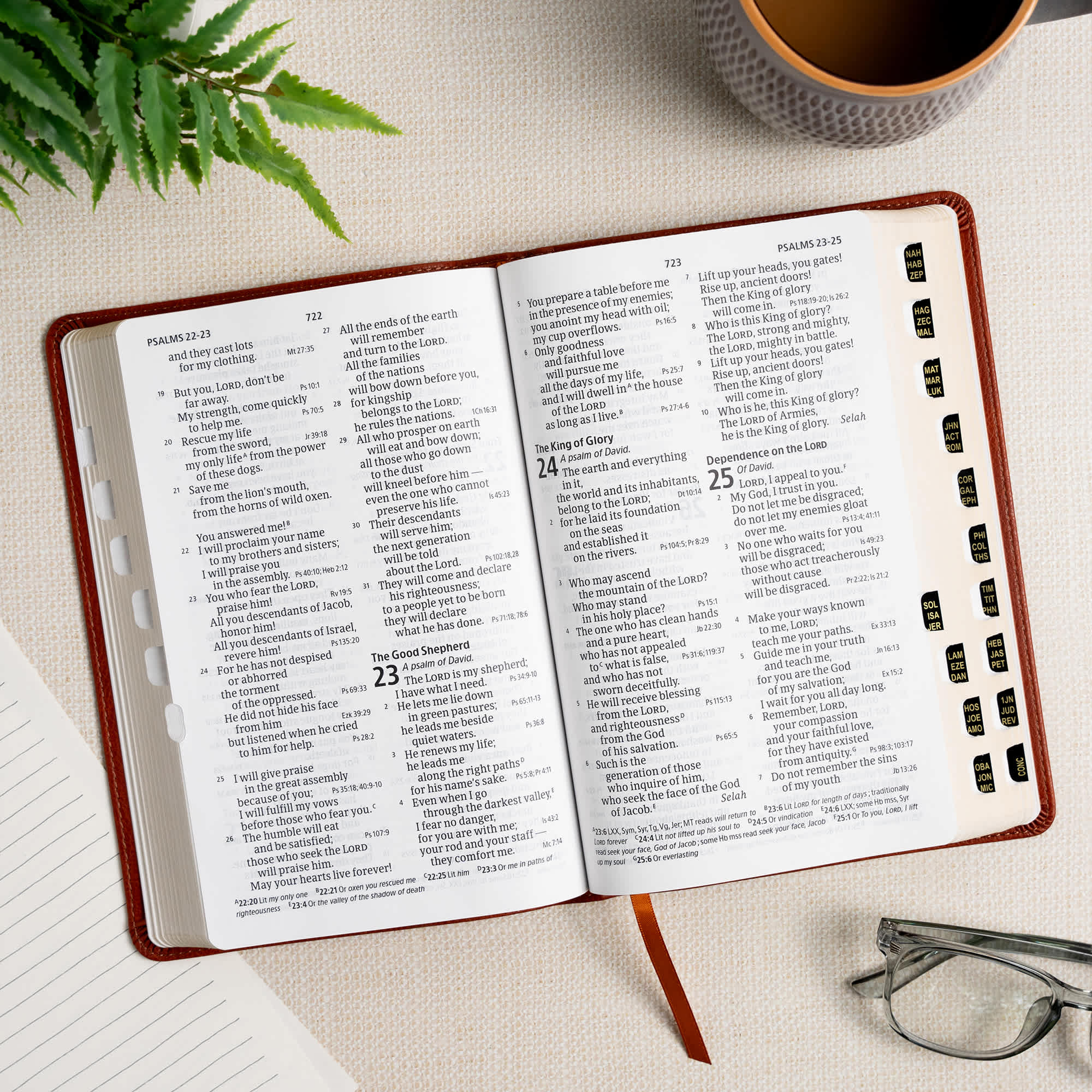 slide 7 of 12 for CSB Large Print Personal Size Reference Bible, Digital Study Edition, Burnt Sienna LeatherTouch, Indexed