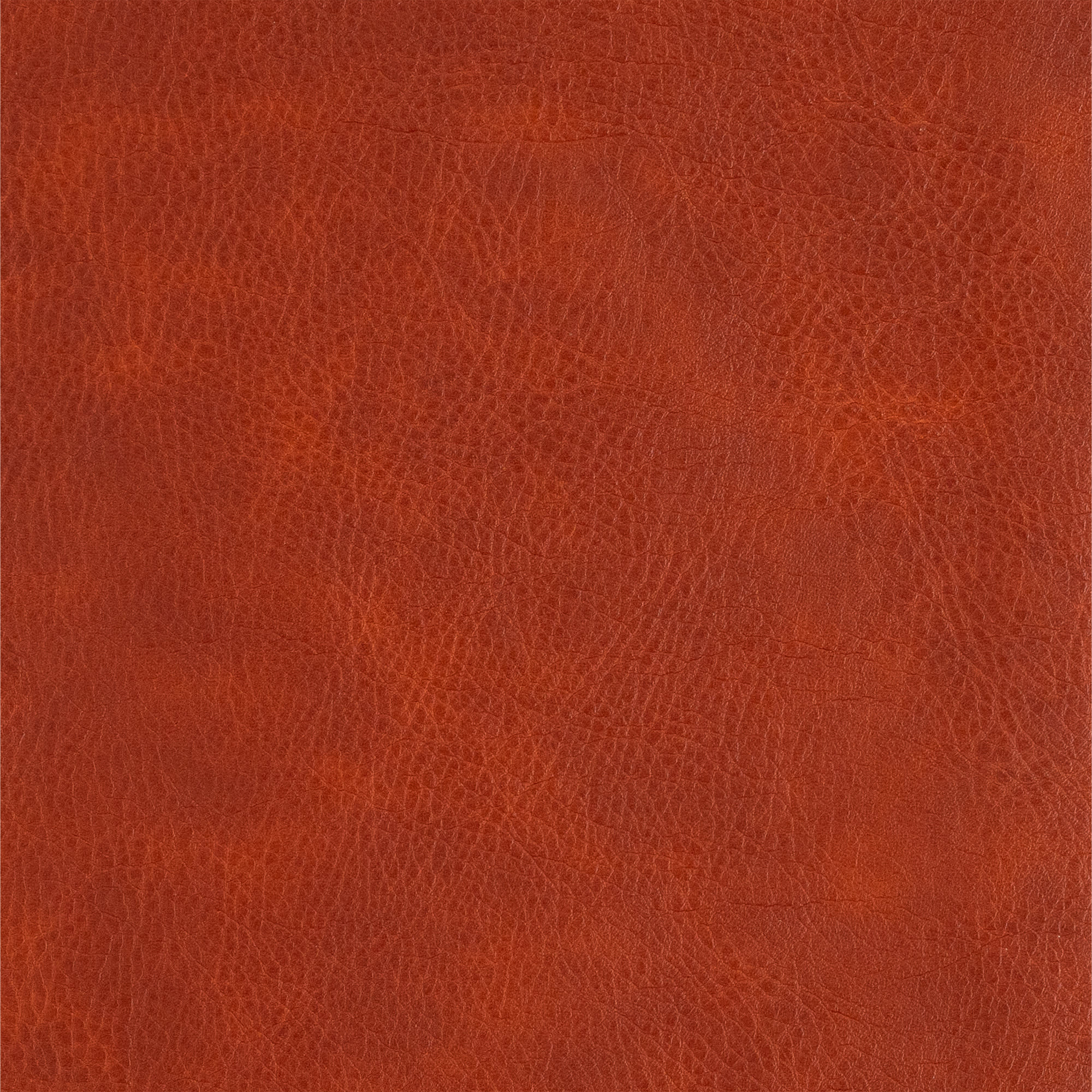 slide 10 of 12 for CSB Large Print Personal Size Reference Bible, Digital Study Edition, Burnt Sienna LeatherTouch, Indexed