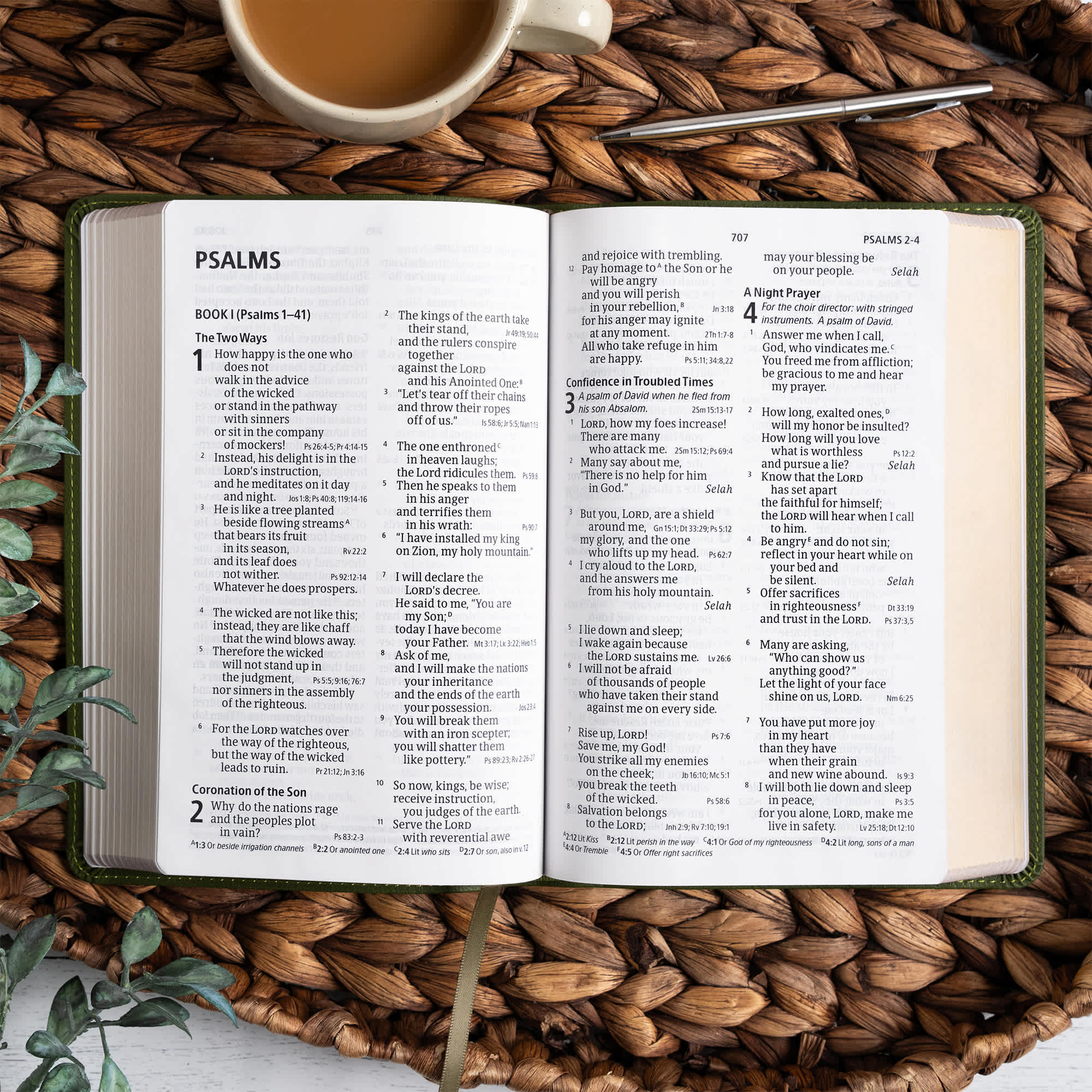 slide 5 of 12 for CSB Large Print Personal Size Reference Bible, Digital Study Edition, Olive LeatherTouch