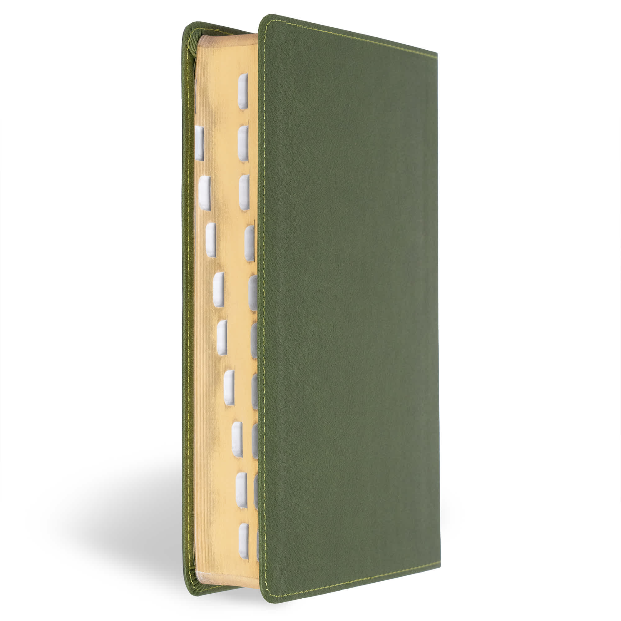 slide 4 of 12 for CSB Large Print Personal Size Reference Bible, Digital Study Edition, Olive LeatherTouch, Indexed
