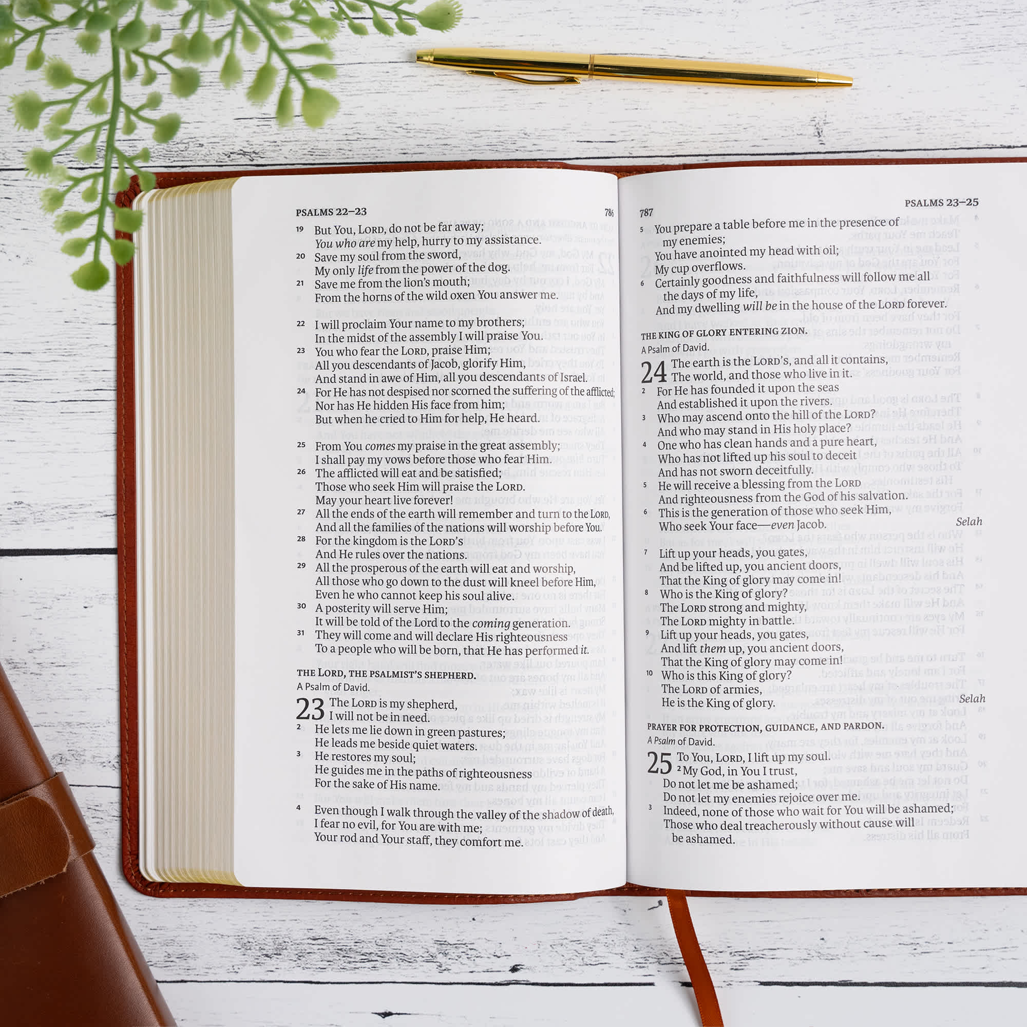 slide 6 of 11 for NASB Single-Column Personal Size Bible, Burnt Sienna LeatherTouch
