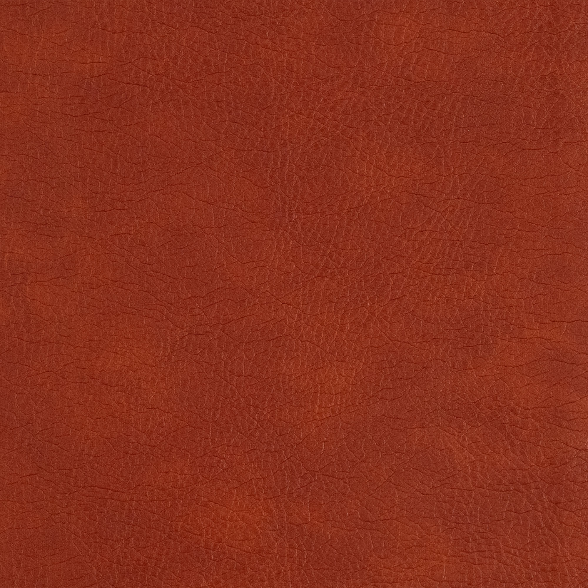 slide 10 of 11 for NASB Single-Column Personal Size Bible, Burnt Sienna LeatherTouch