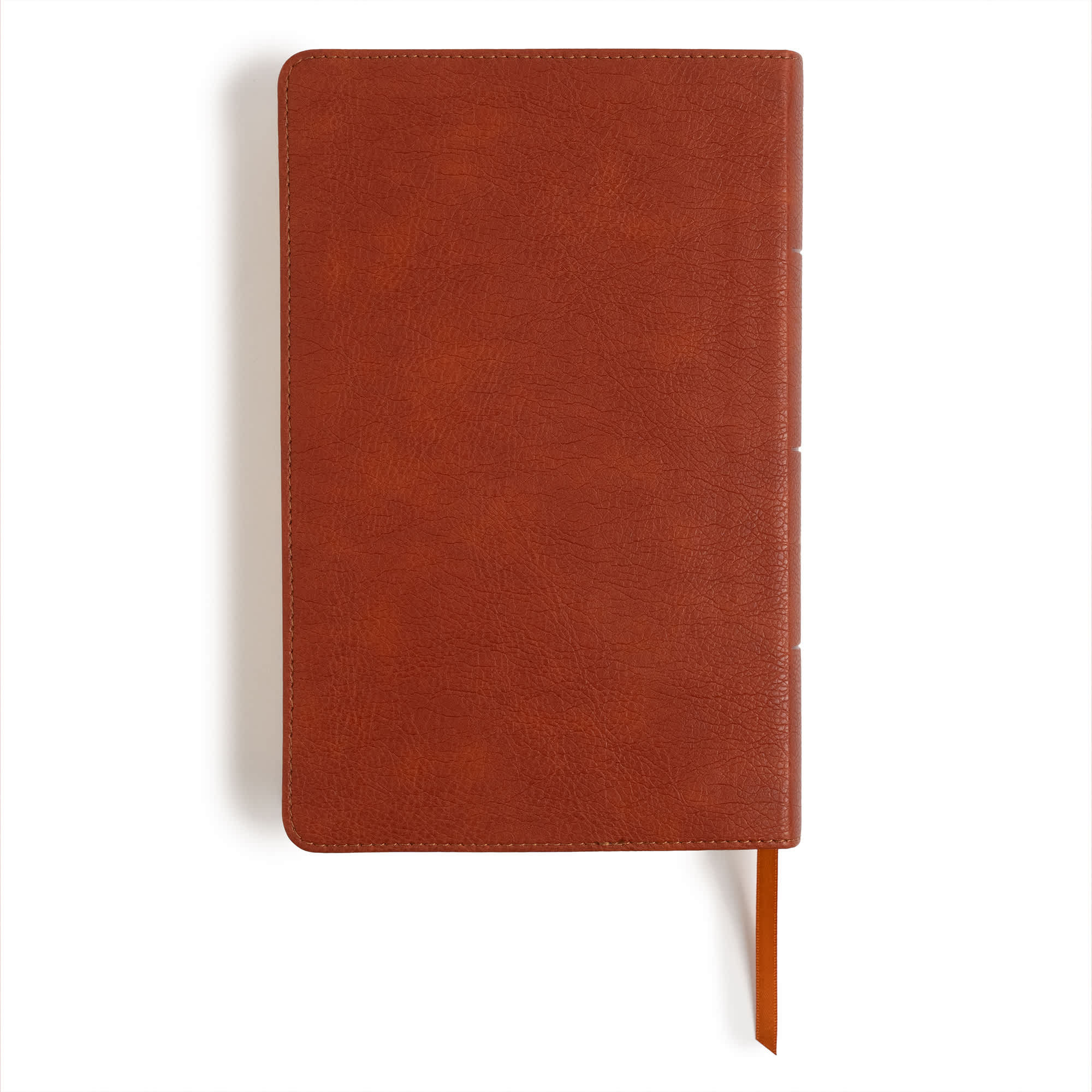 slide 11 of 11 for NASB Single-Column Personal Size Bible, Burnt Sienna LeatherTouch