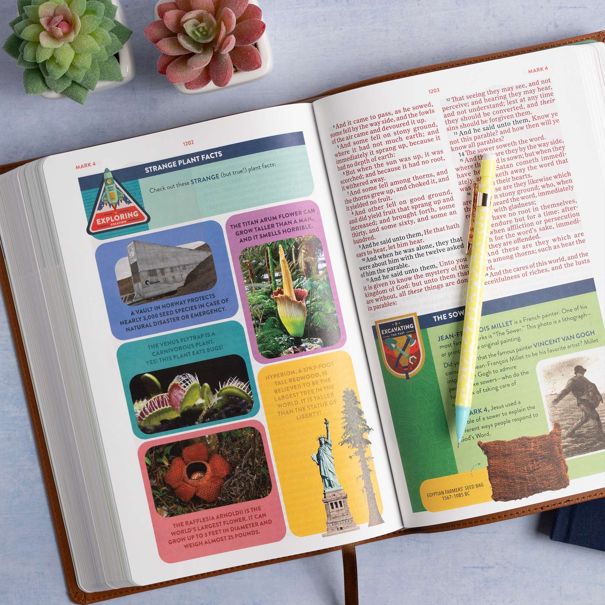 slide 6 of 13 for KJV Explorer Bible for Kids, Brown LeatherTouch