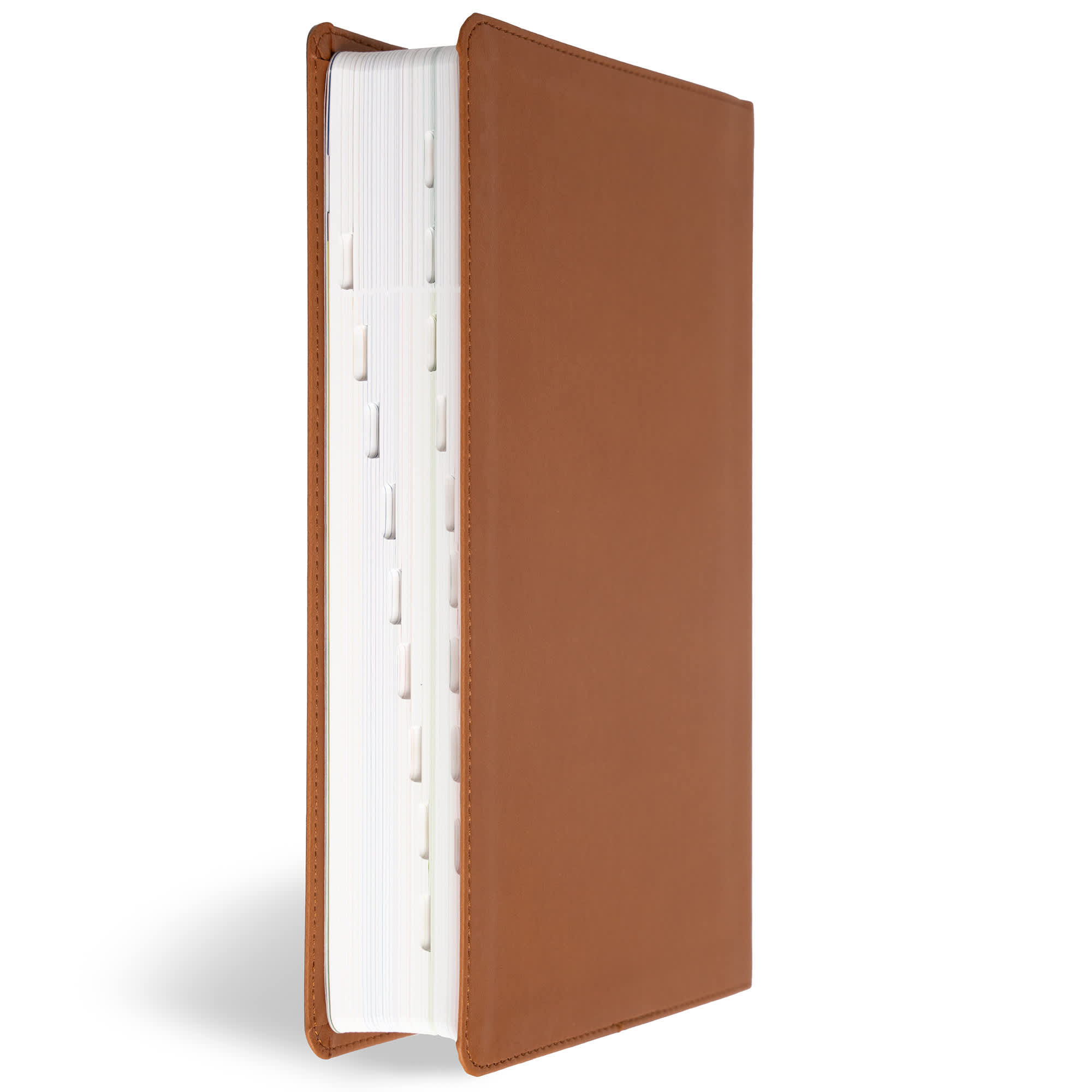 slide 4 of 13 for KJV Explorer Bible for Kids, Brown LeatherTouch, Indexed