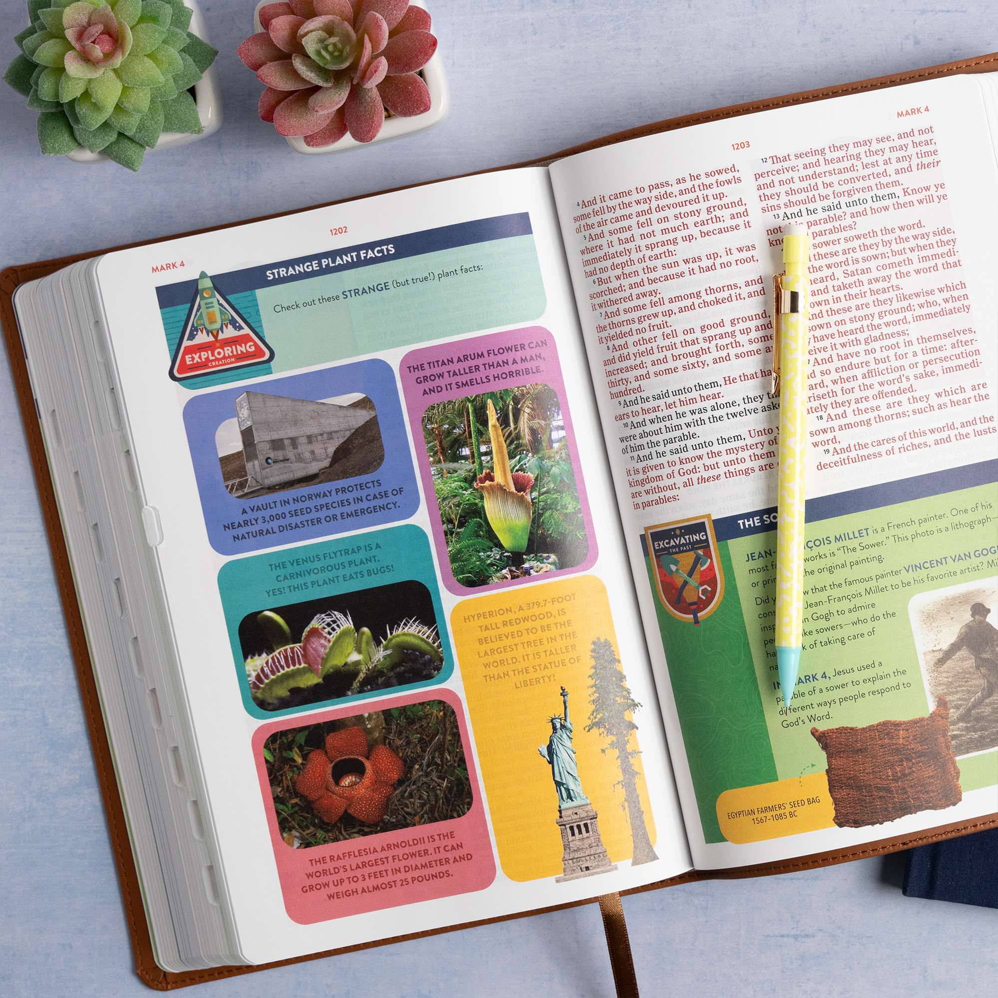 slide 6 of 13 for KJV Explorer Bible for Kids, Brown LeatherTouch, Indexed