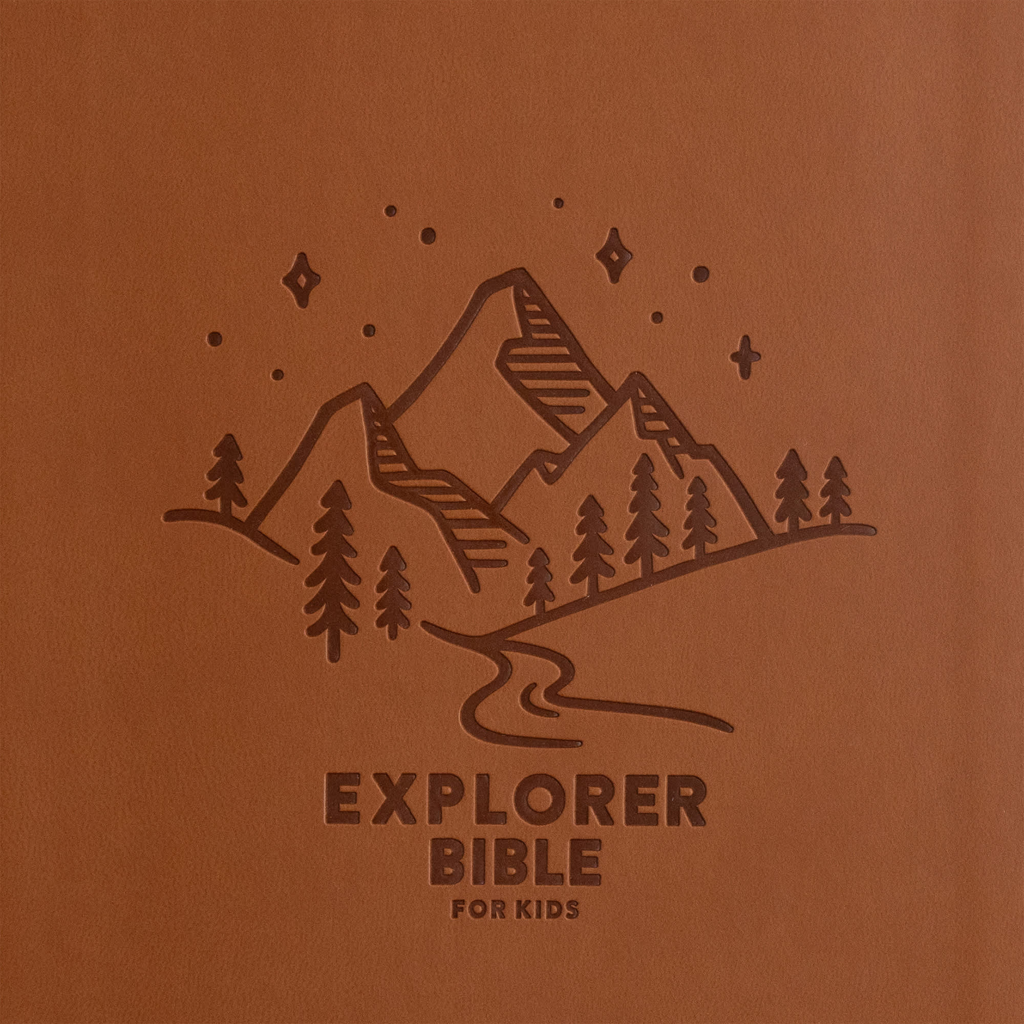 slide 10 of 13 for KJV Explorer Bible for Kids, Brown LeatherTouch, Indexed