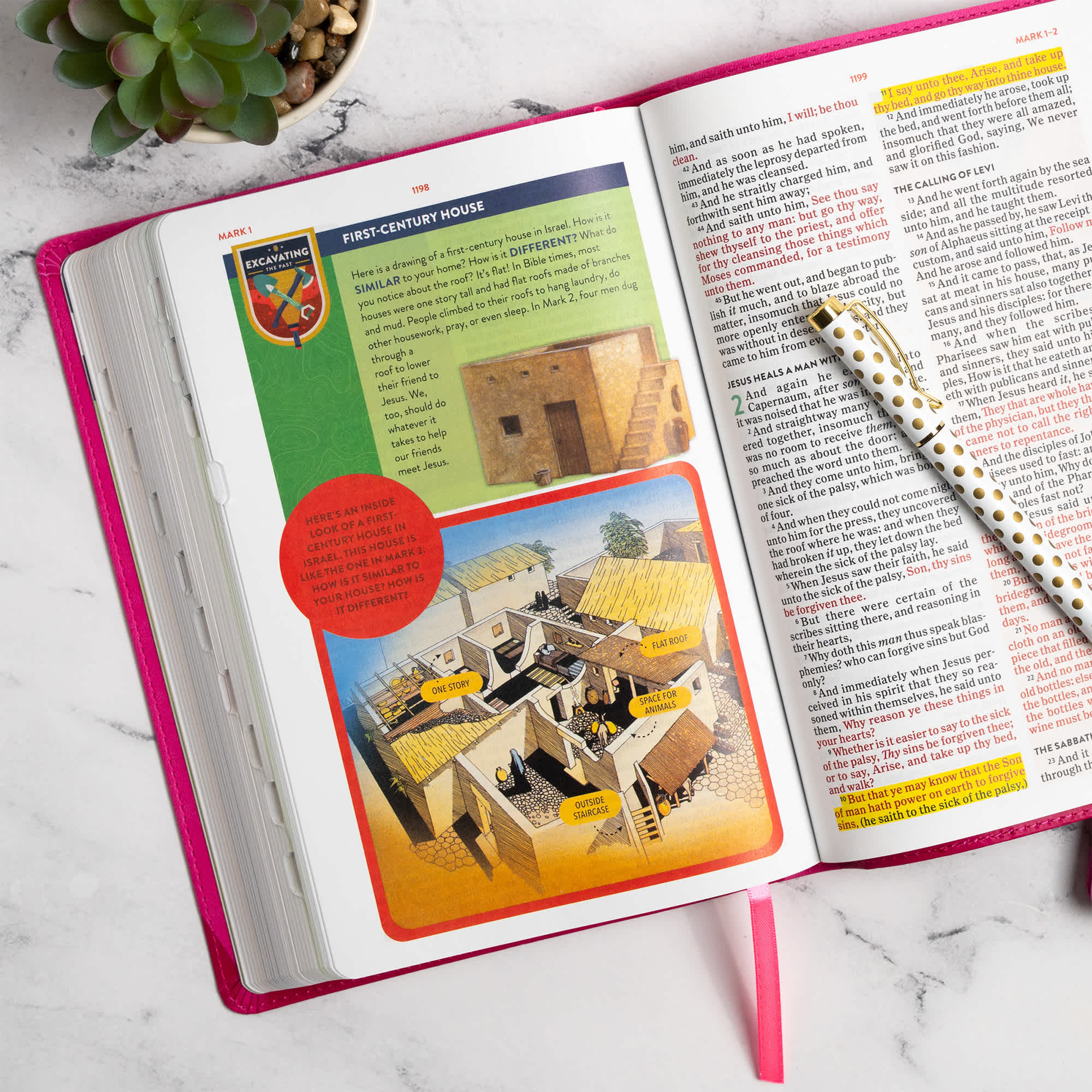 slide 6 of 13 for KJV Explorer Bible for Kids, Bubble Gum LeatherTouch, Indexed
