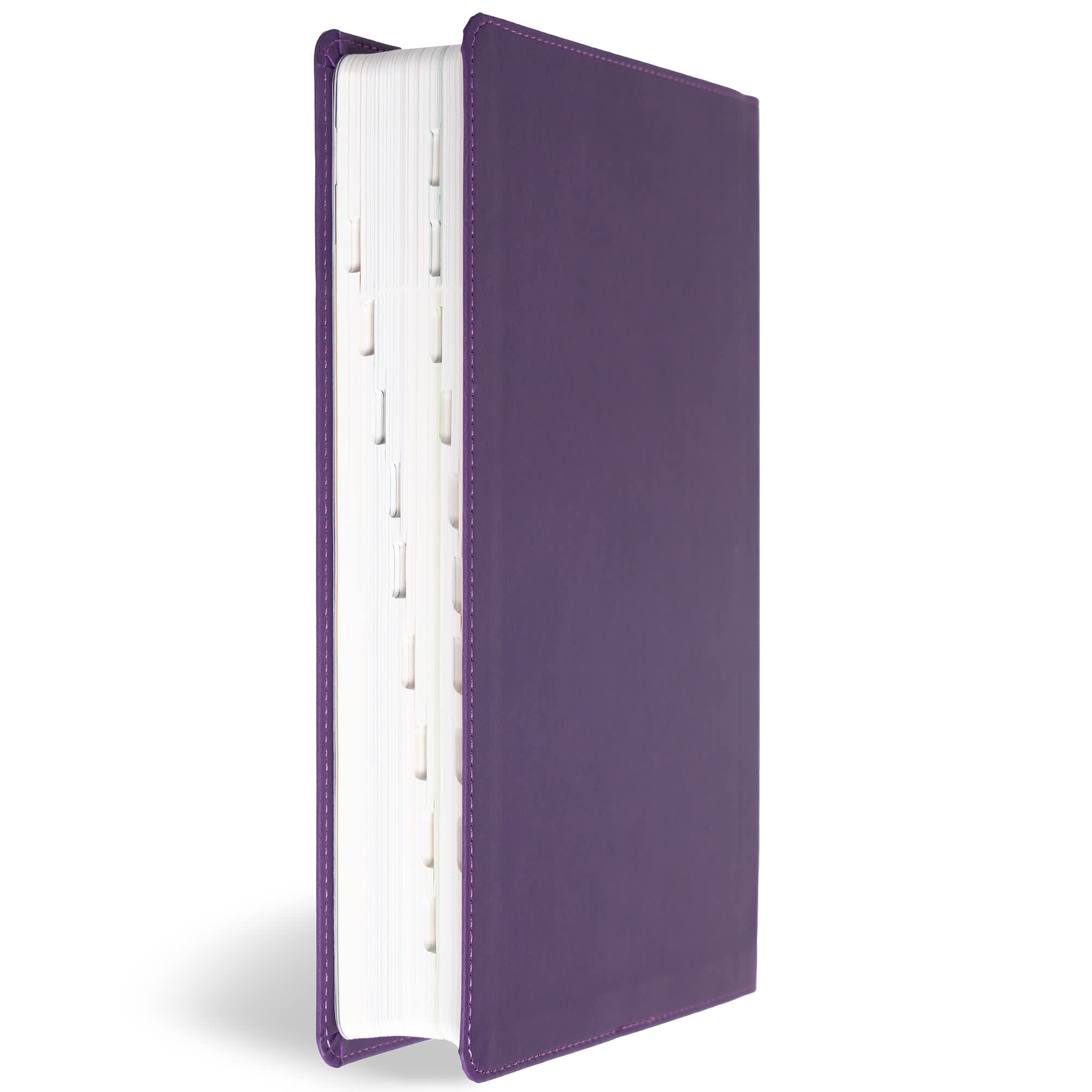 slide 4 of 13 for KJV Explorer Bible for Kids, Purple LeatherTouch, Indexed