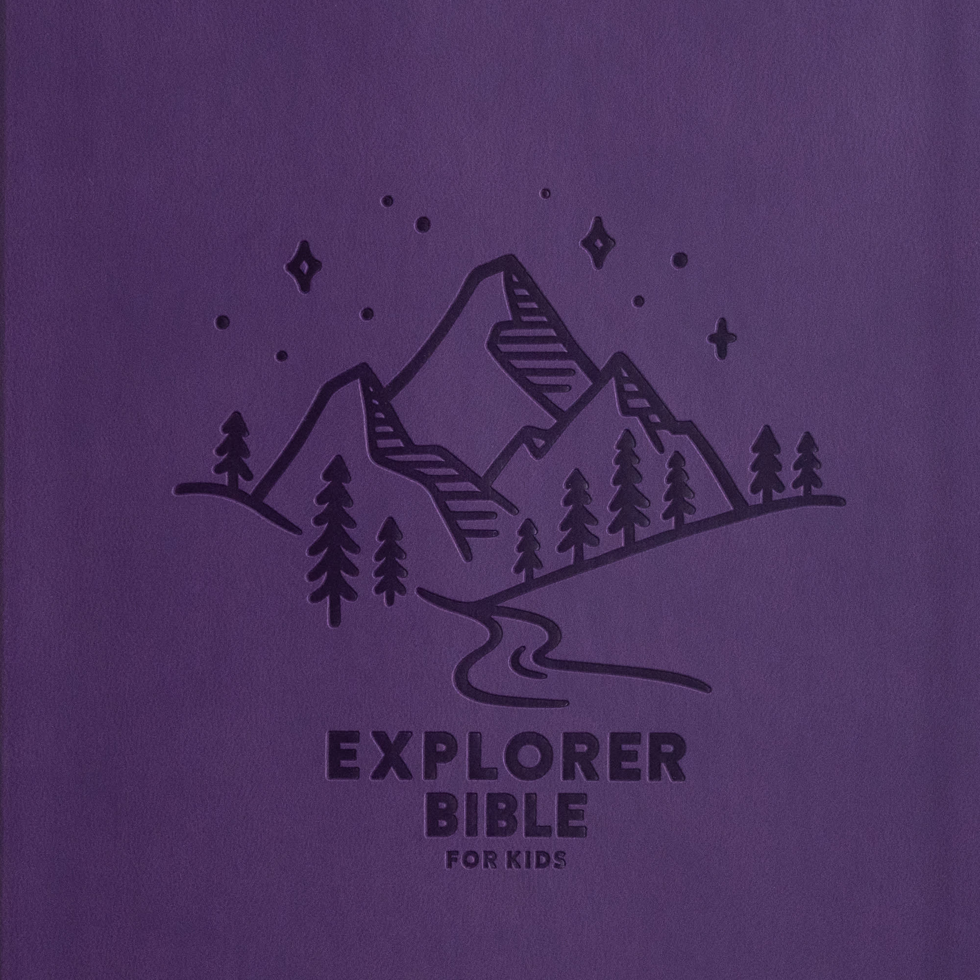 slide 10 of 13 for KJV Explorer Bible for Kids, Purple LeatherTouch, Indexed