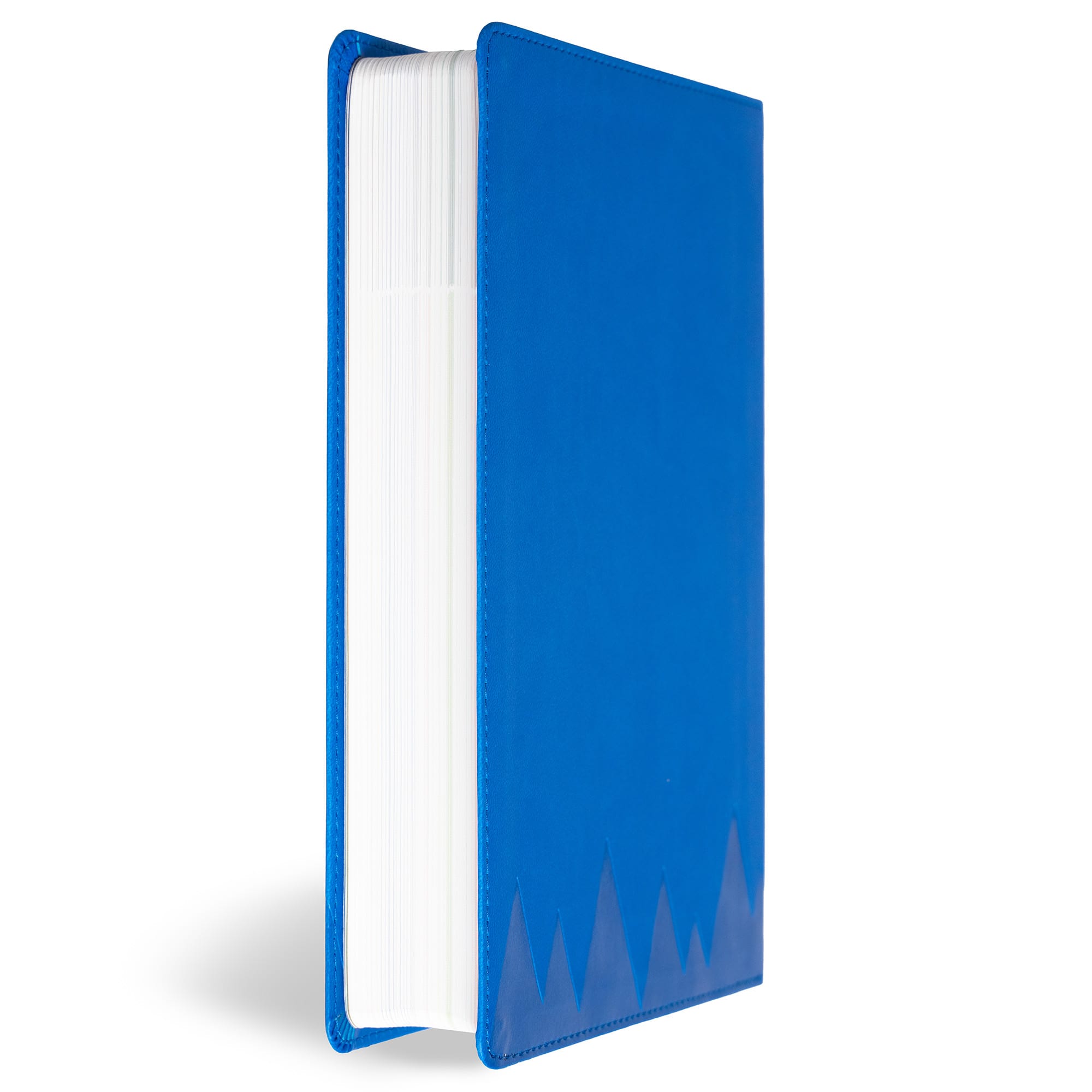 slide 4 of 13 for KJV Explorer Bible for Kids, Royal Blue LeatherTouch