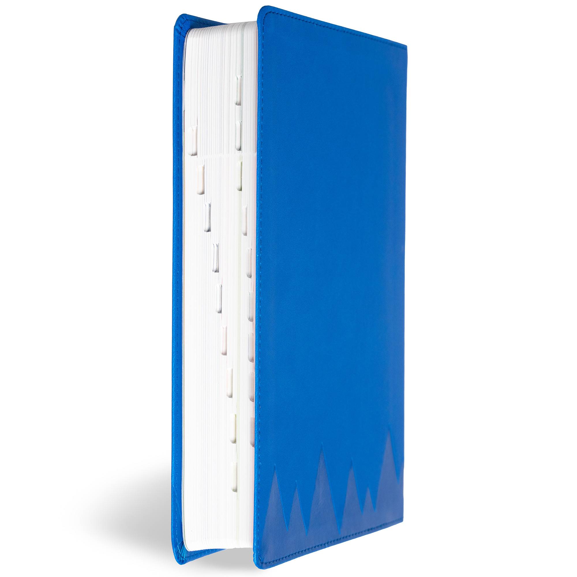 slide 4 of 13 for KJV Explorer Bible for Kids, Royal Blue LeatherTouch, Indexed