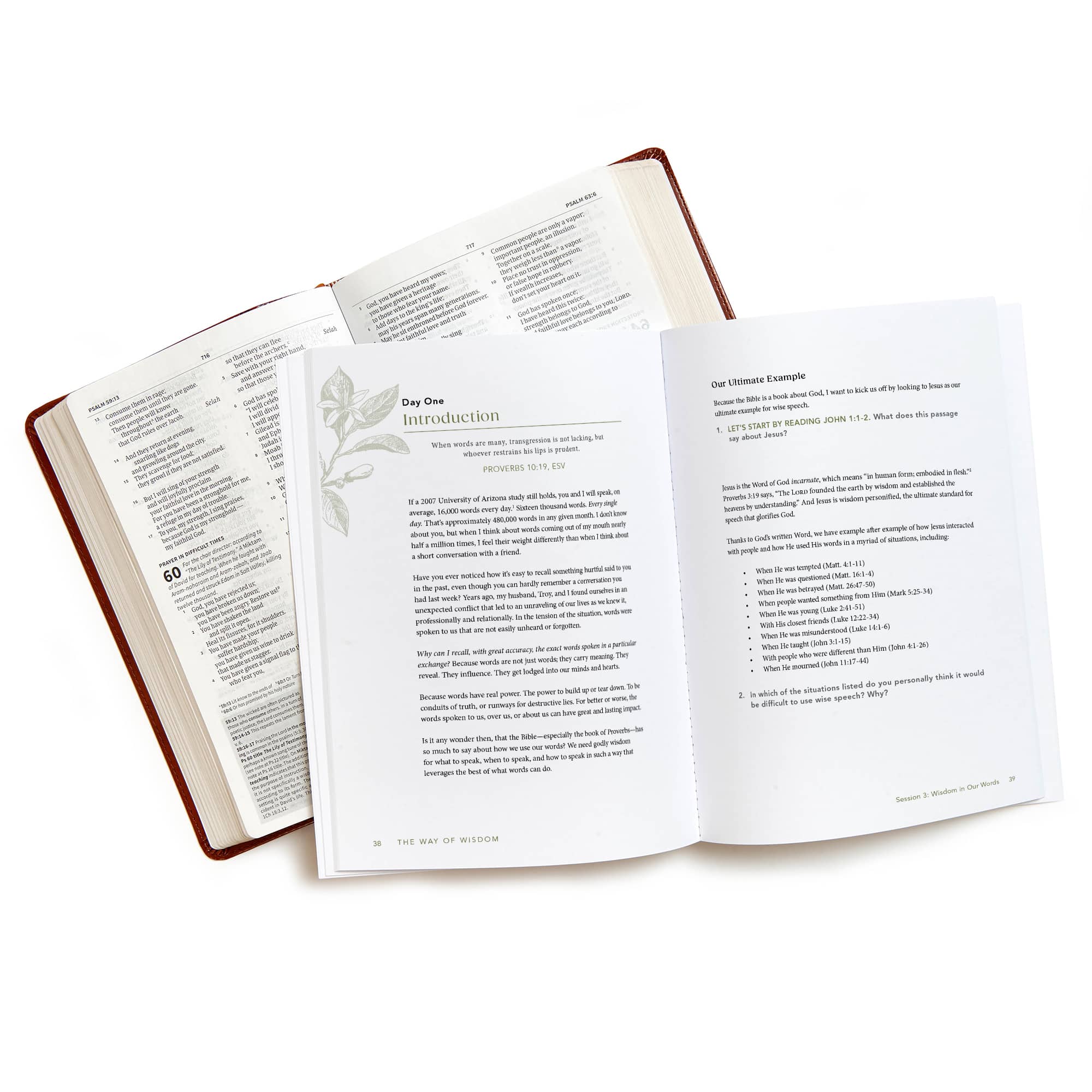 slide 5 of 6 for The Way of Wisdom - Bible Study Book with Video Access