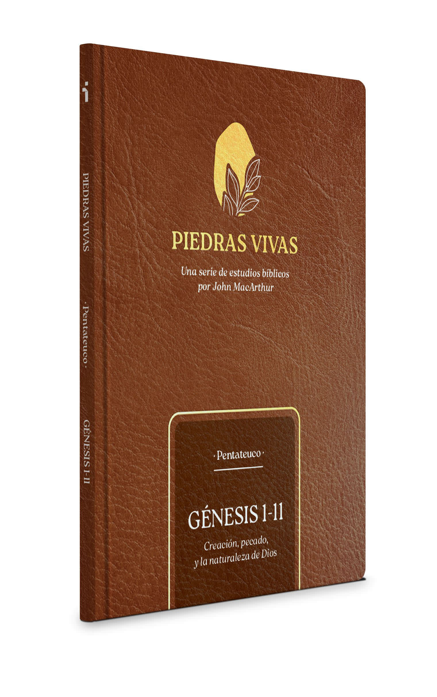 Piedras vivas: Génesis 1-11 - Estudio bíblico