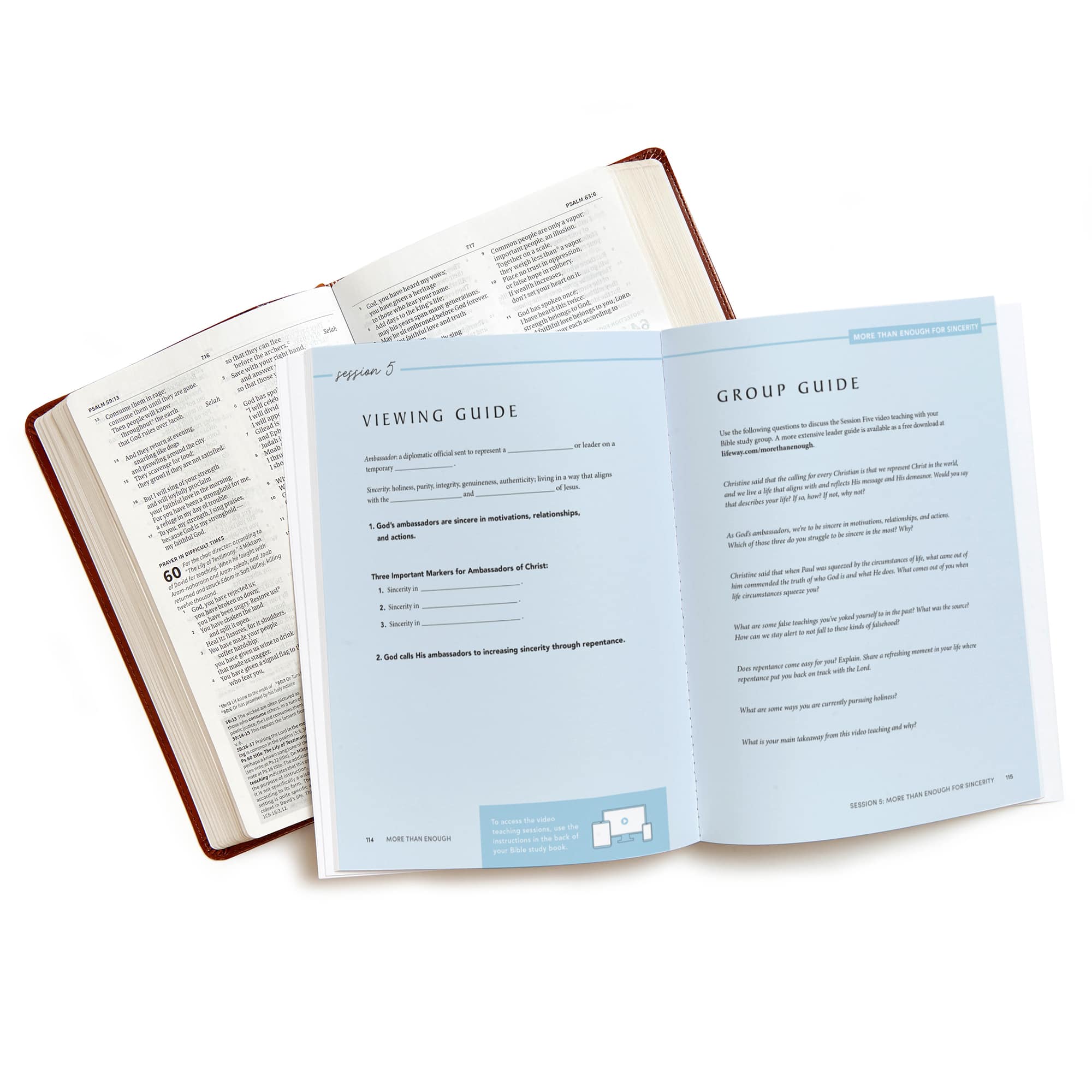 slide 5 of 5 for More Than Enough - Bible Study Book with Video Access