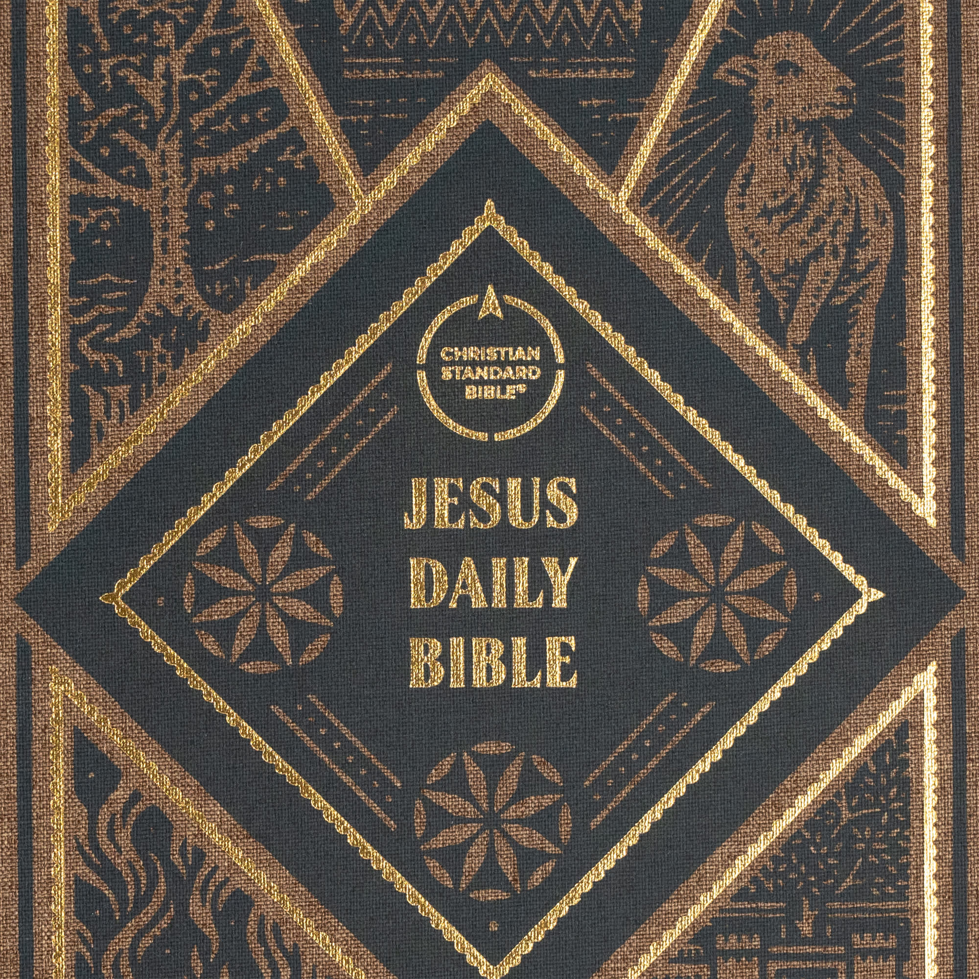 slide 9 of 20 for CSB Jesus Daily Bible, Brown Cloth Over Board