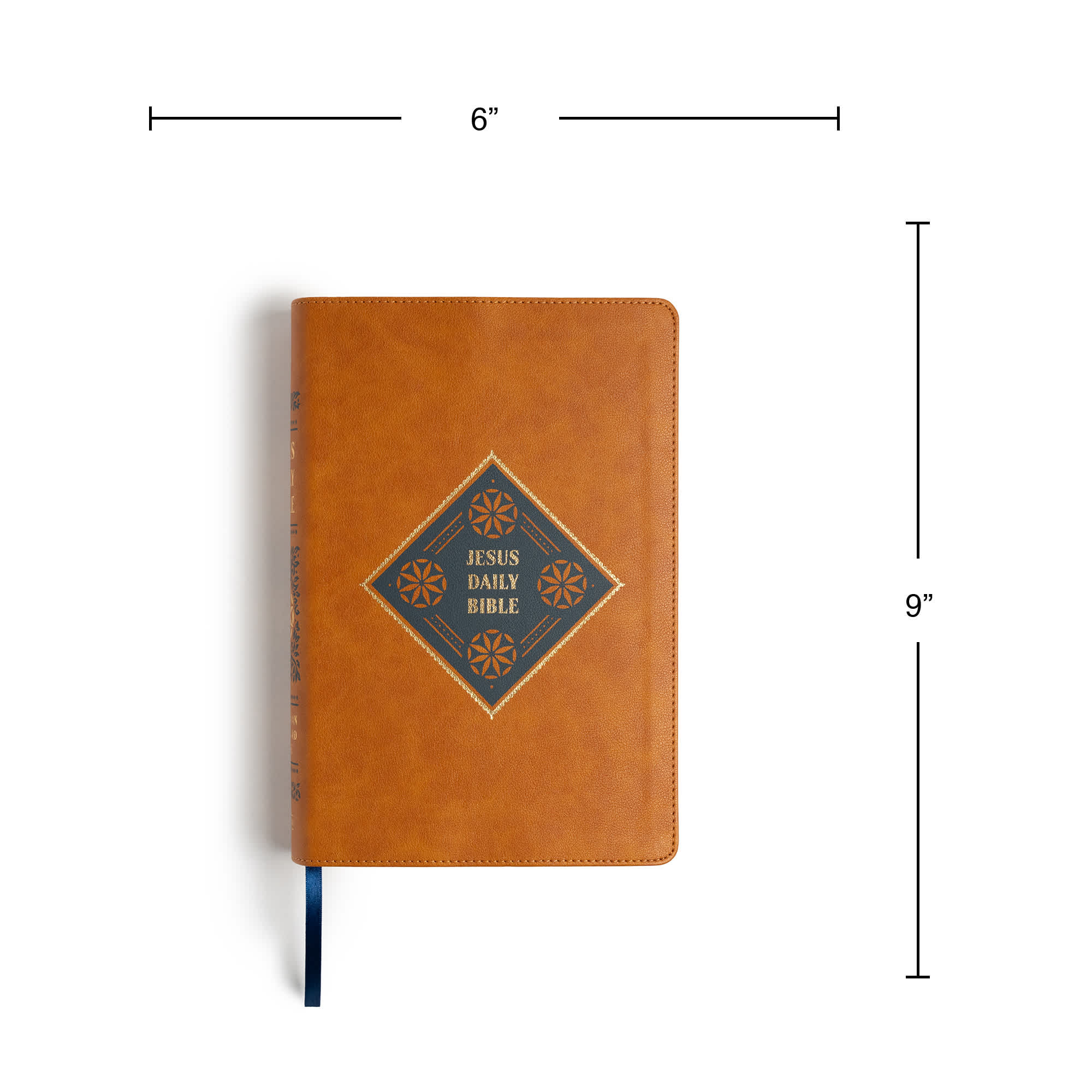 slide 8 of 22 for CSB Jesus Daily Bible, Camel LeatherTouch