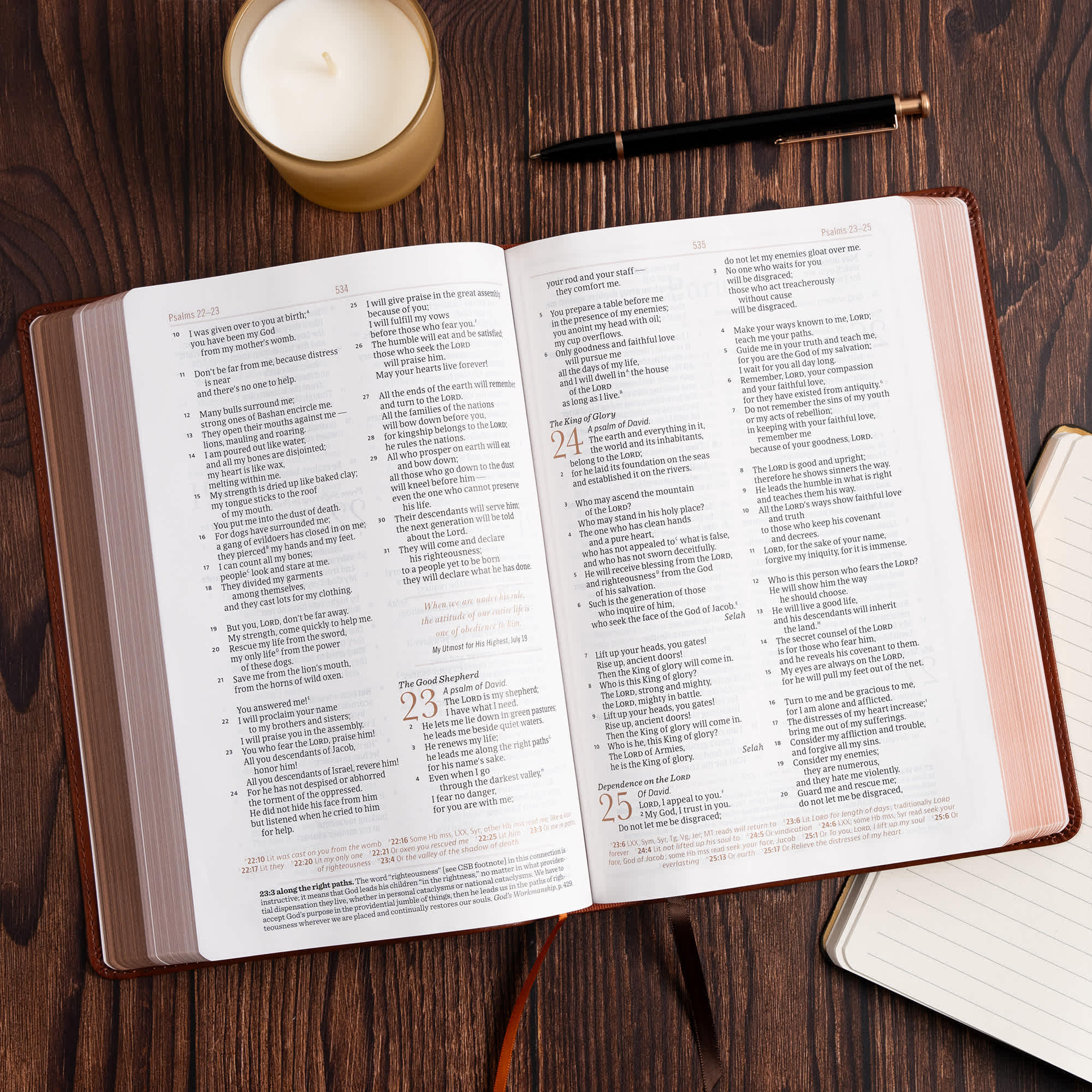 slide 6 of 11 for CSB Oswald Chambers Bible, Saddle LeatherTouch