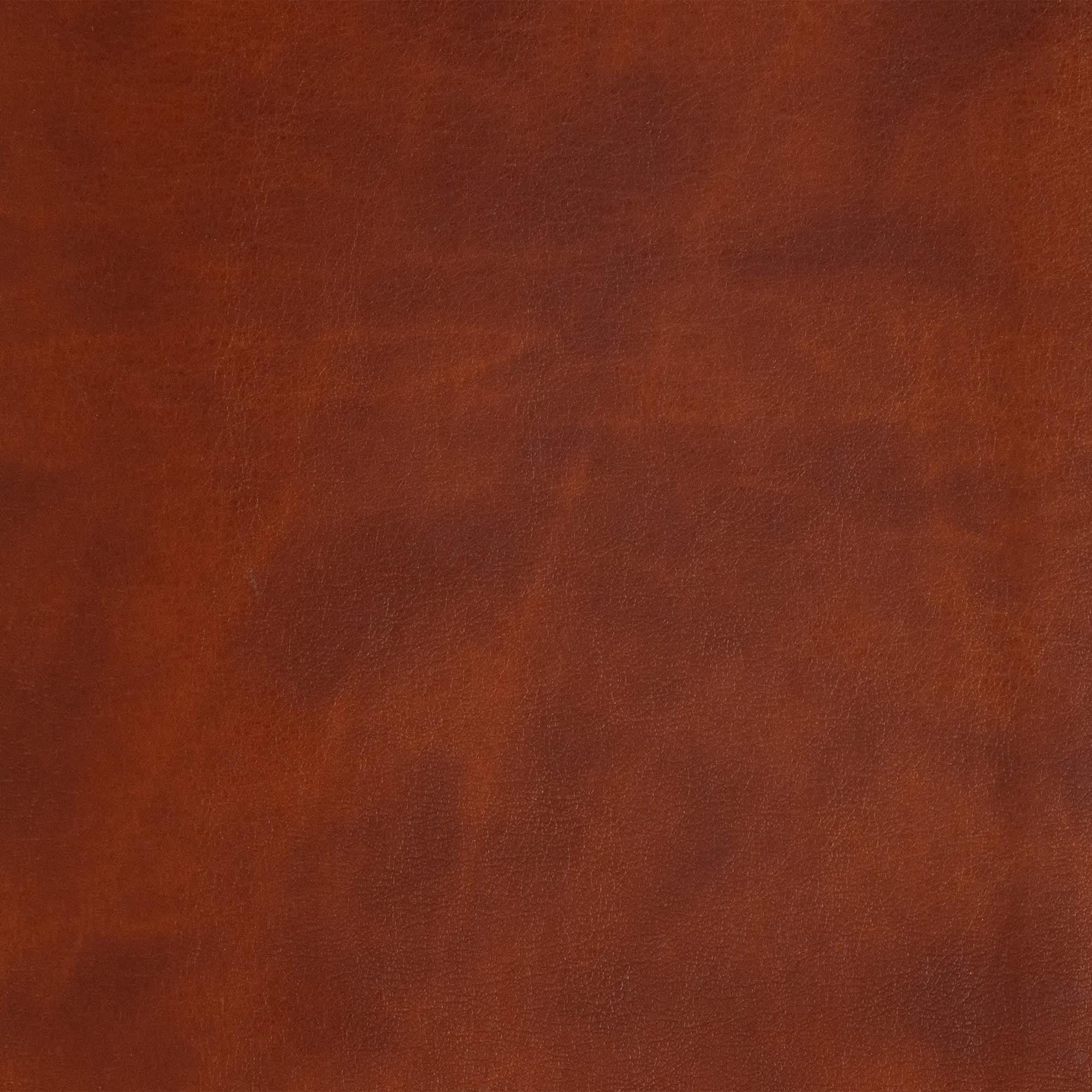 slide 10 of 11 for CSB Oswald Chambers Bible, Saddle LeatherTouch