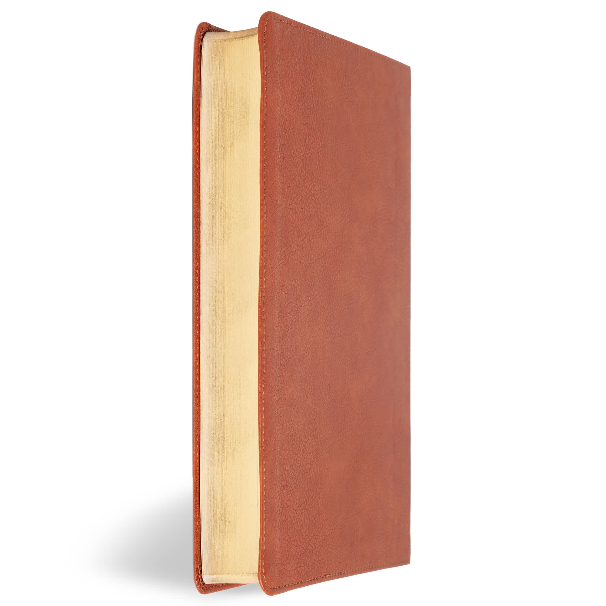 slide 4 of 12 for CSB Giant Print Reference Bible, Digital Study Edition, Burnt Sienna LeatherTouch