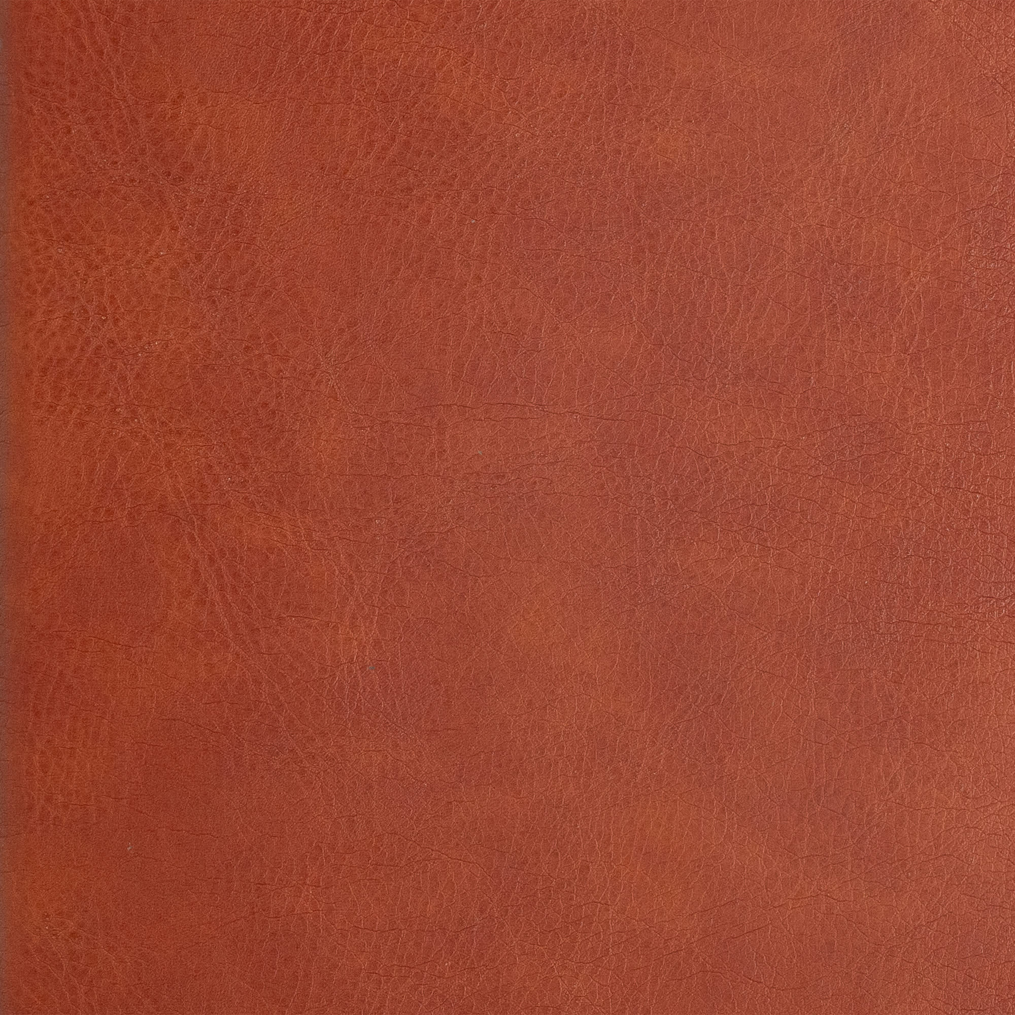 slide 10 of 12 for CSB Giant Print Reference Bible, Digital Study Edition, Burnt Sienna LeatherTouch