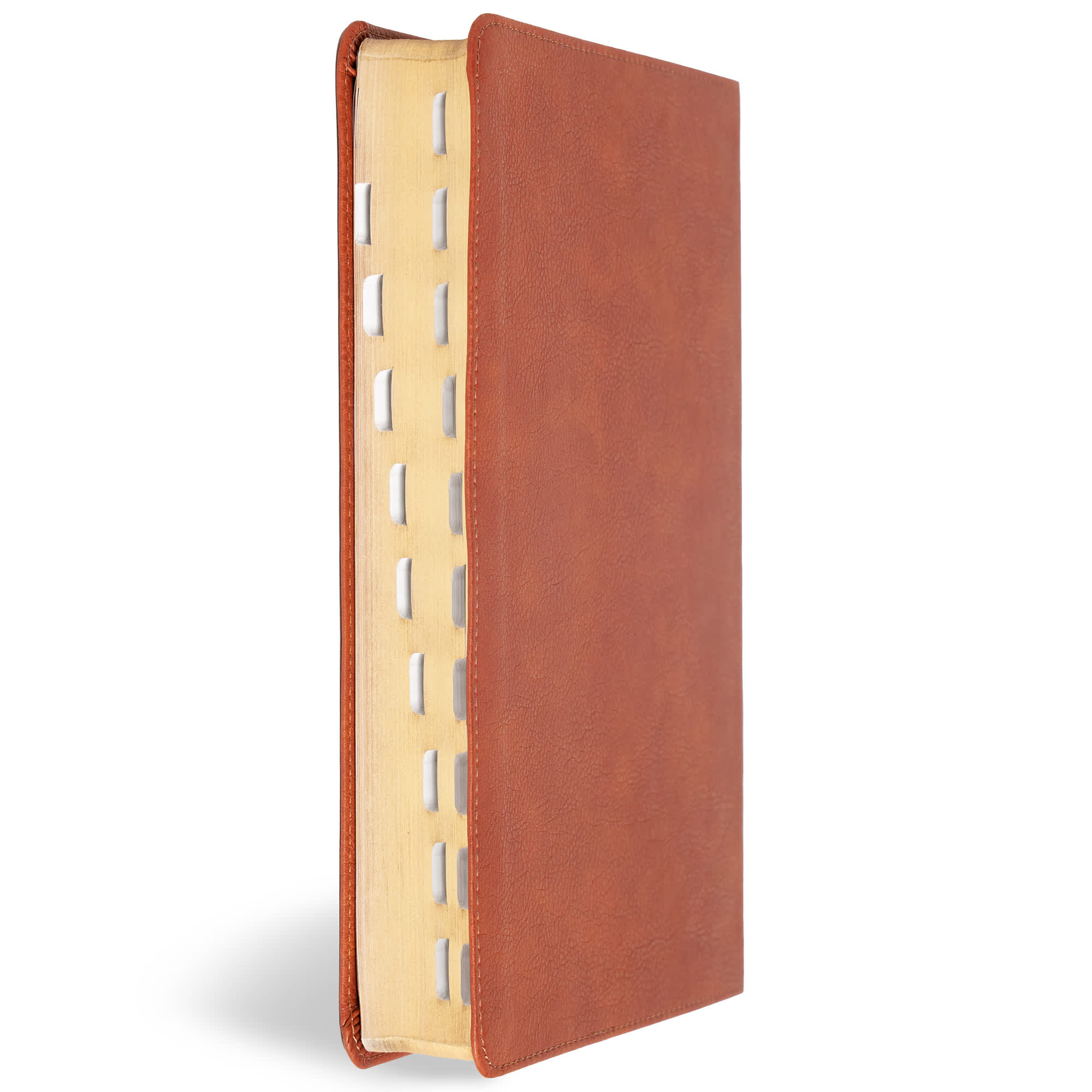 slide 4 of 12 for CSB Giant Print Reference Bible, Digital Study Edition, Burnt Sienna LeatherTouch, Indexed