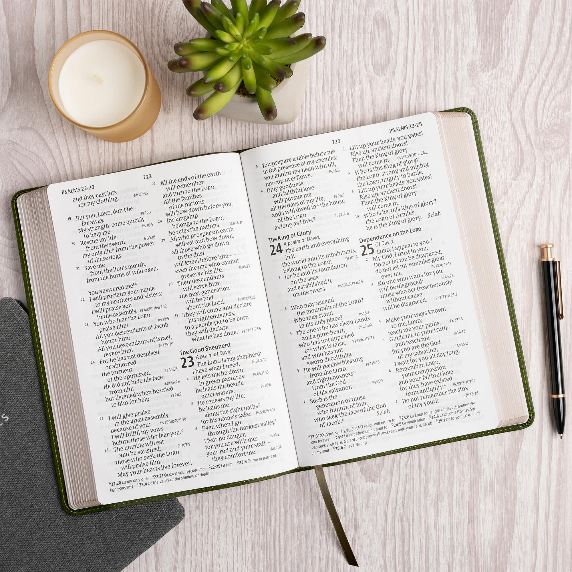 slide 5 of 12 for CSB Giant Print Reference Bible, Digital Study Edition, Olive LeatherTouch
