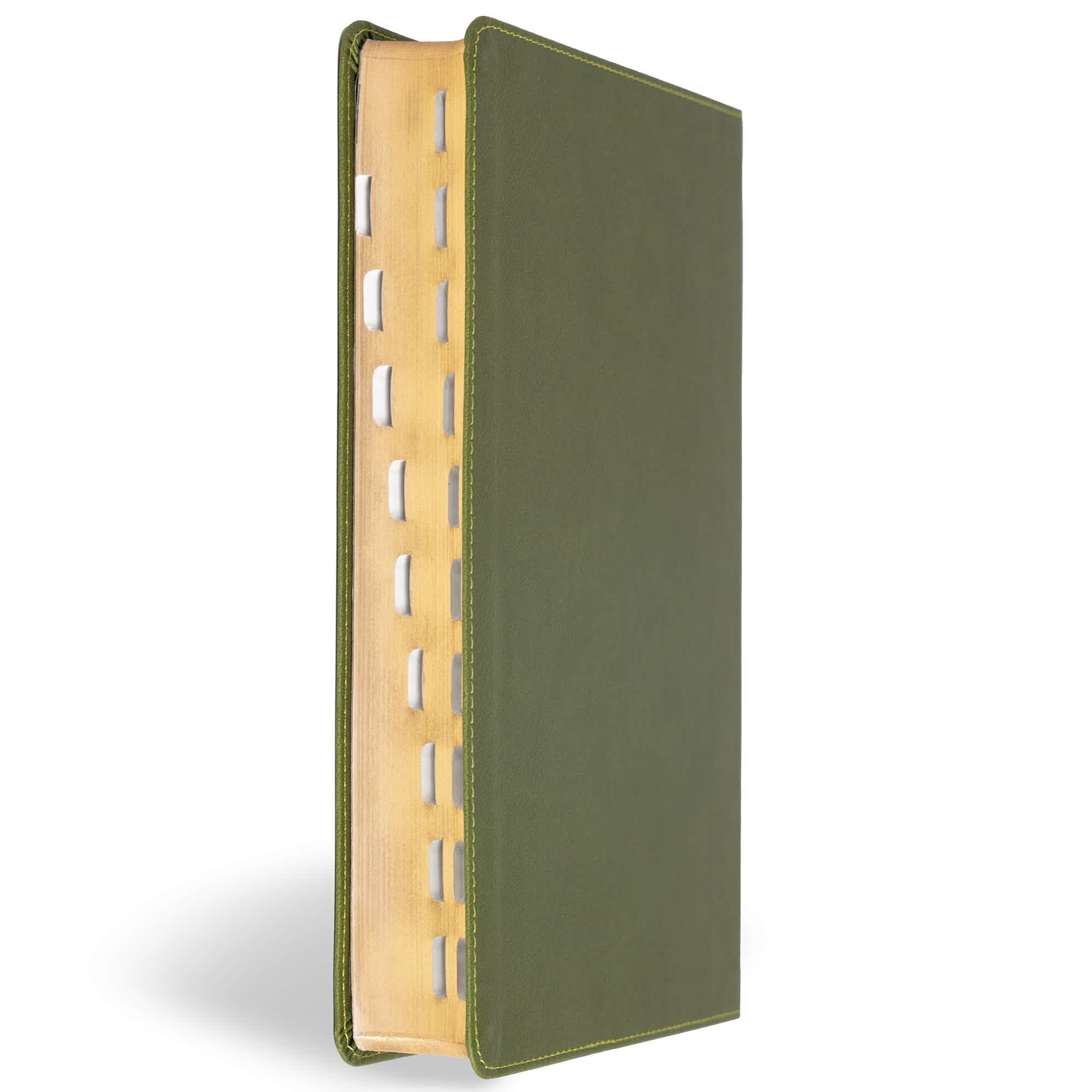 slide 4 of 12 for CSB Giant Print Reference Bible, Digital Study Edition, Olive LeatherTouch, Indexed
