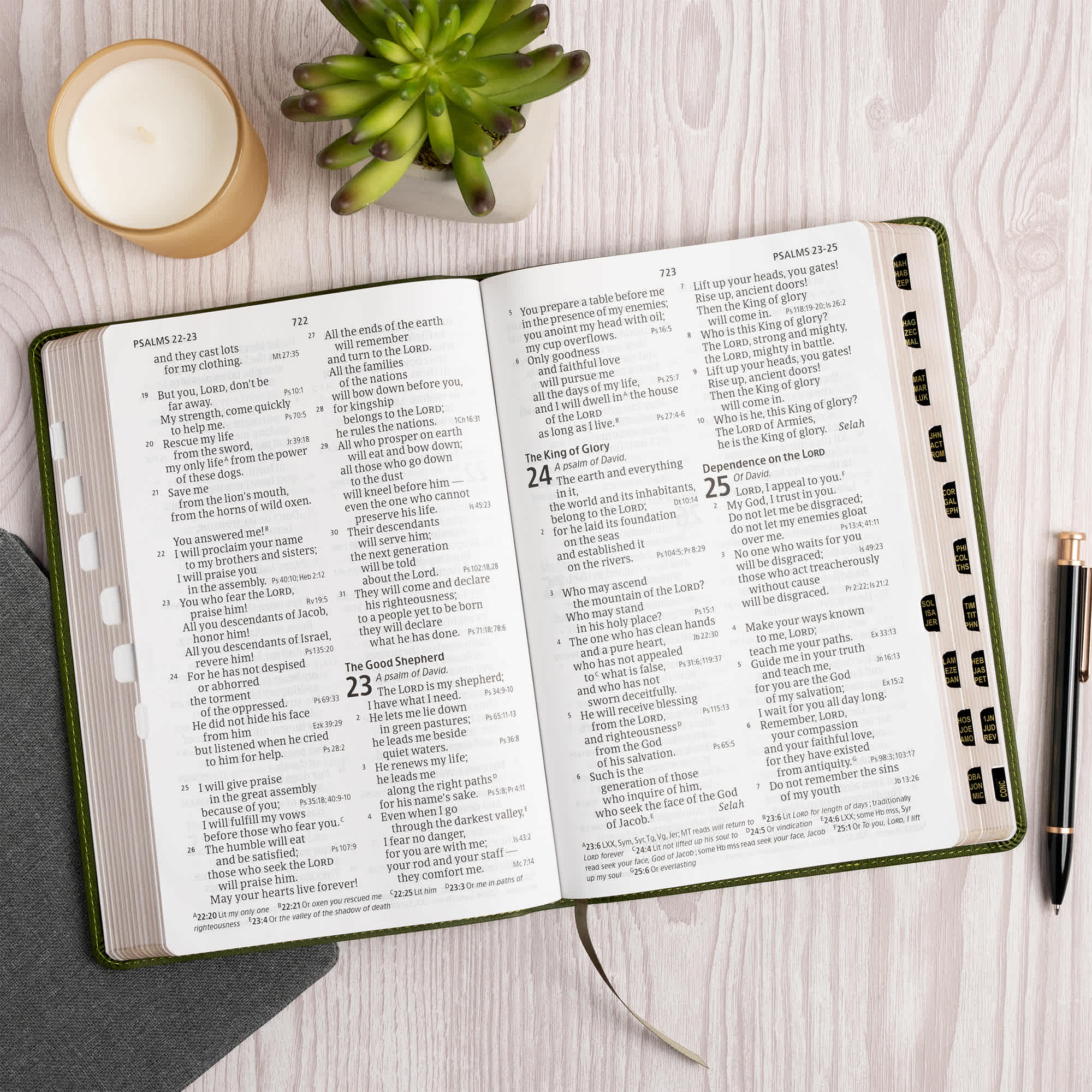 slide 5 of 12 for CSB Giant Print Reference Bible, Digital Study Edition, Olive LeatherTouch, Indexed