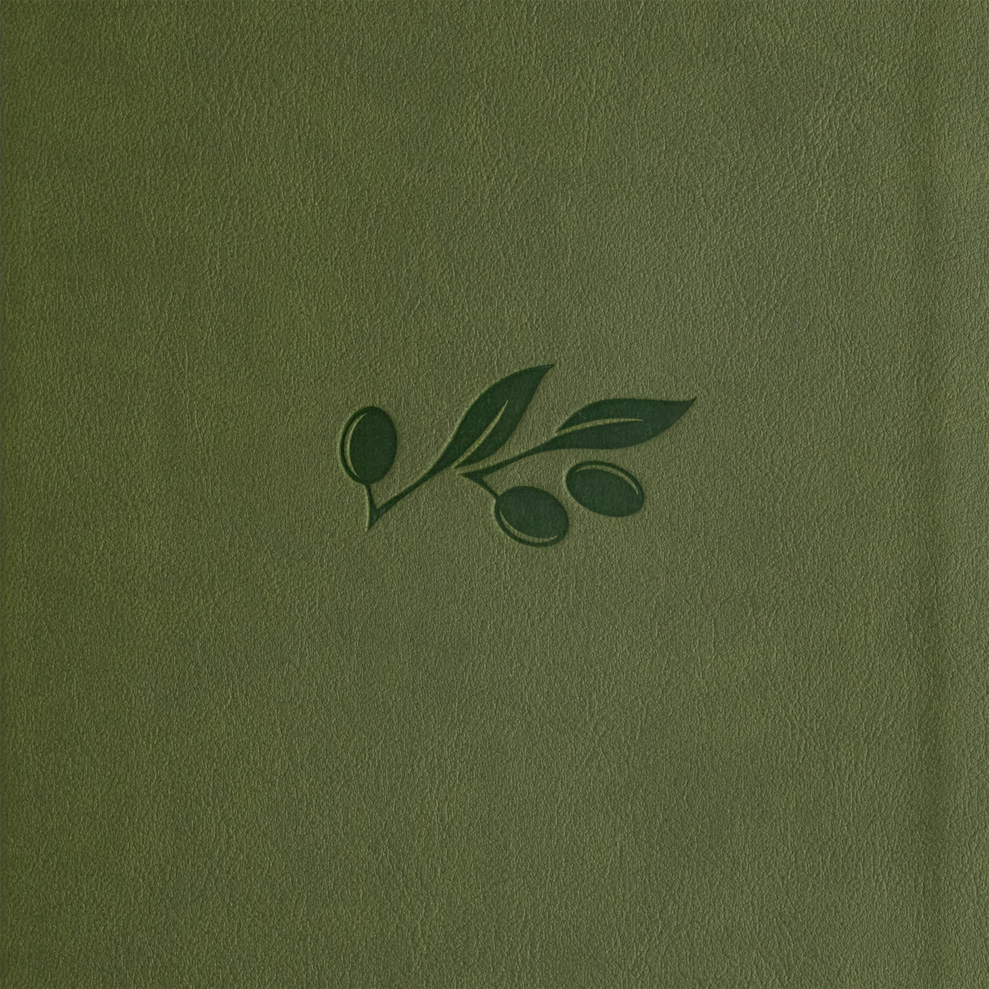 slide 10 of 12 for CSB Giant Print Reference Bible, Digital Study Edition, Olive LeatherTouch, Indexed