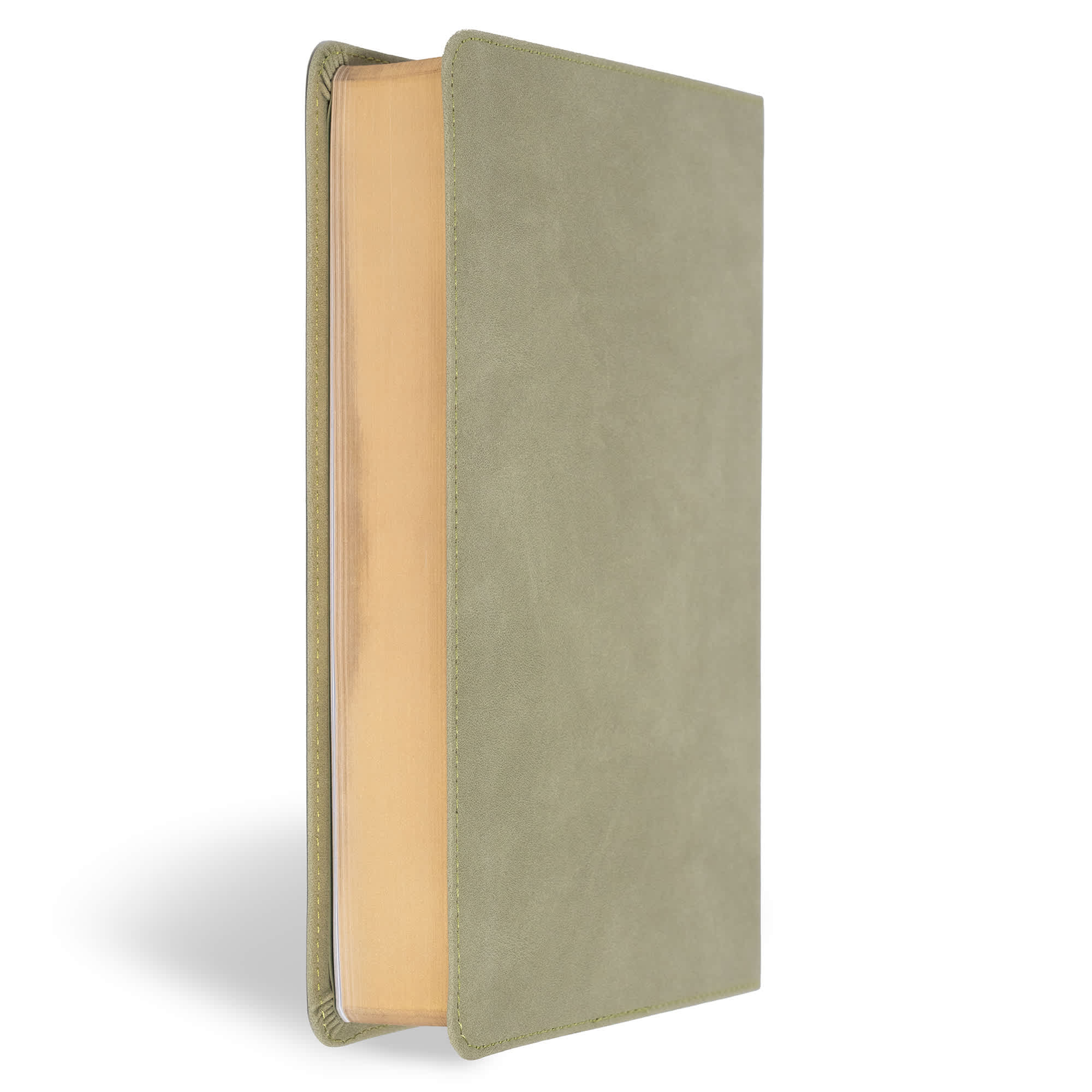 slide 4 of 12 for CSB Large Print Personal Size Reference Bible, Digital Study Edition, Sage Suedesoft LeatherTouch