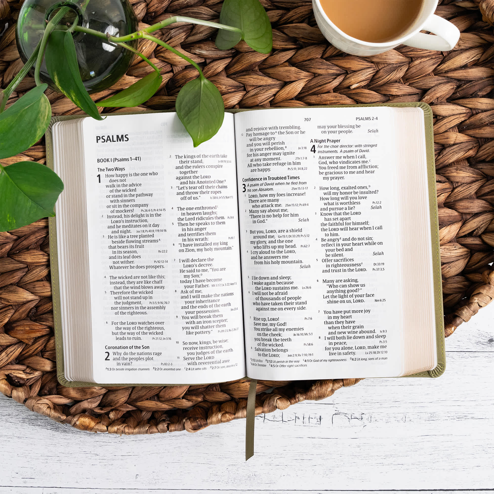 slide 5 of 12 for CSB Large Print Personal Size Reference Bible, Digital Study Edition, Sage Suedesoft LeatherTouch