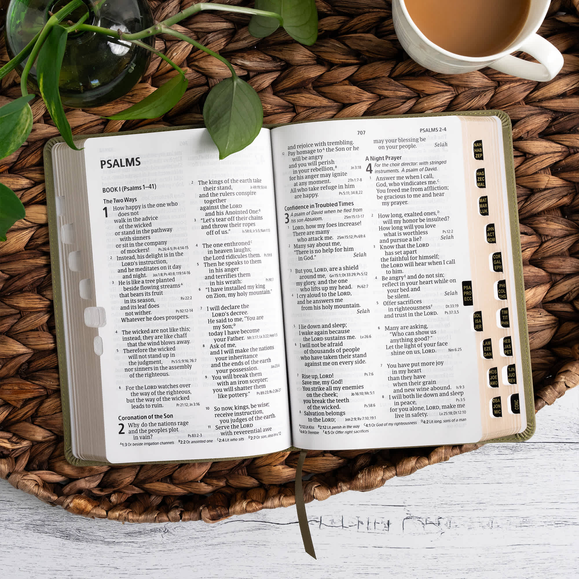 slide 7 of 12 for CSB Large Print Personal Size Reference Bible, Digital Study Edition, Sage Suedesoft LeatherTouch, Indexed