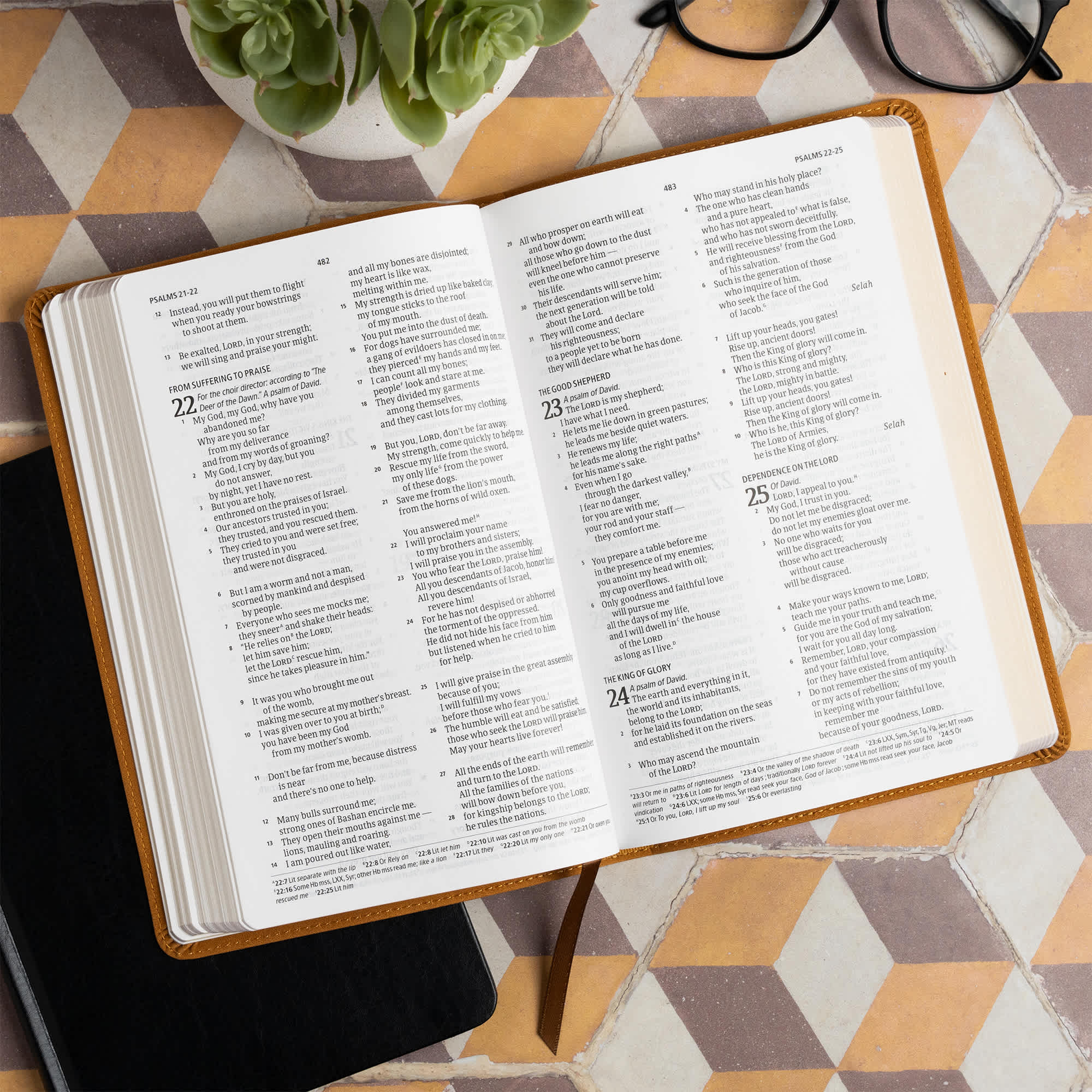 slide 5 of 14 for CSB Thinline Bible, Digital Study Edition, Camel SuedeSoft LeatherTouch
