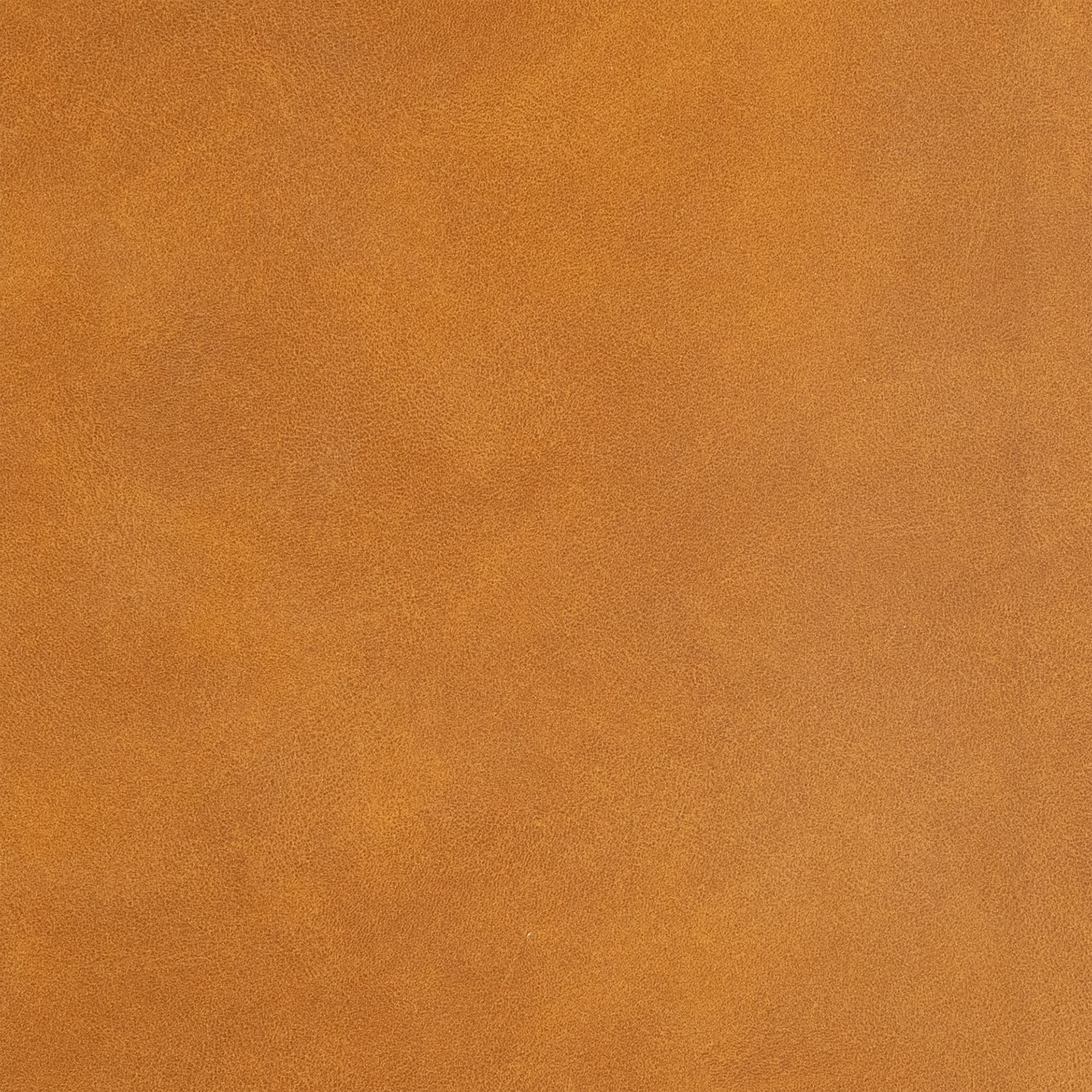 slide 10 of 14 for CSB Thinline Bible, Digital Study Edition, Camel SuedeSoft LeatherTouch