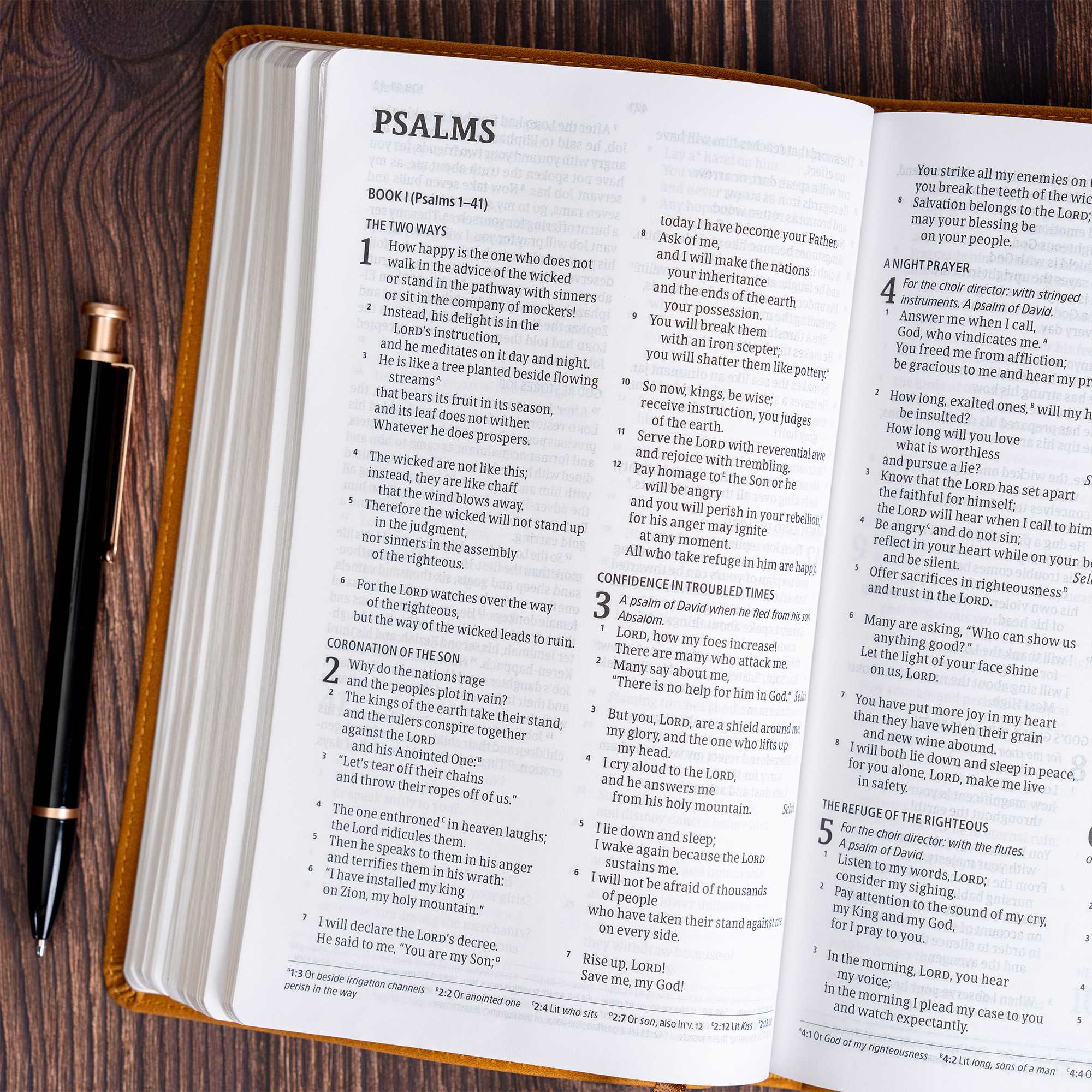 slide 13 of 14 for CSB Thinline Bible, Digital Study Edition, Camel SuedeSoft LeatherTouch
