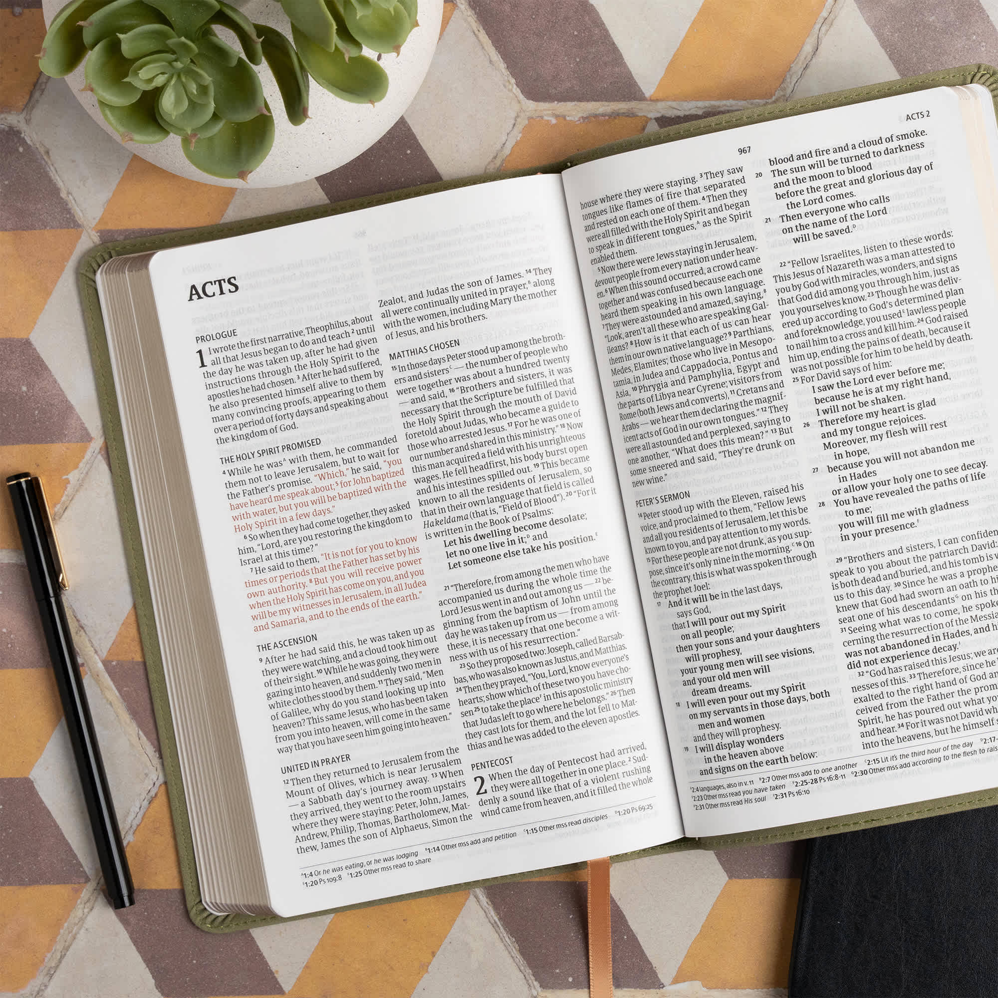 slide 5 of 12 for CSB Thinline Bible, Digital Study Edition, Sage SuedeSoft LeatherTouch