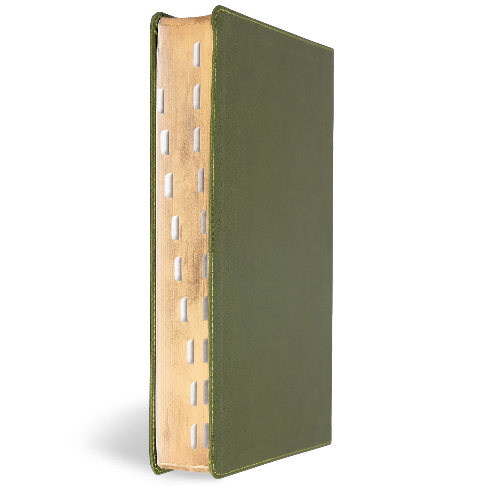 slide 4 of 12 for CSB Super Giant Print Reference Bible, Digital Study Edition, Olive LeatherTouch, Indexed
