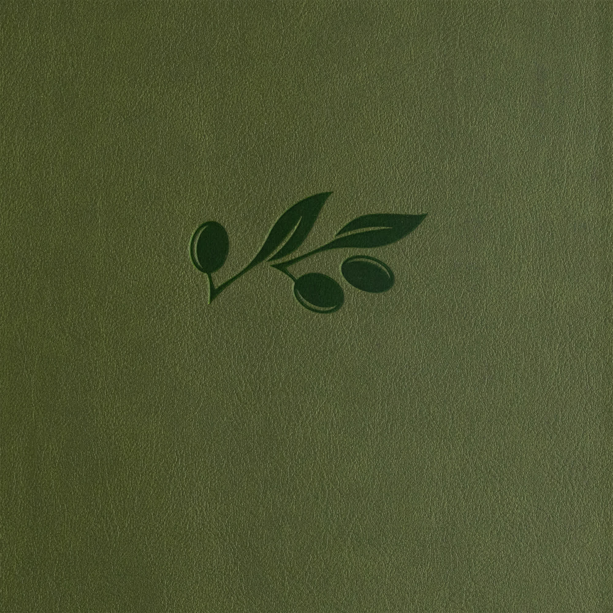 slide 10 of 12 for CSB Super Giant Print Reference Bible, Digital Study Edition, Olive LeatherTouch, Indexed