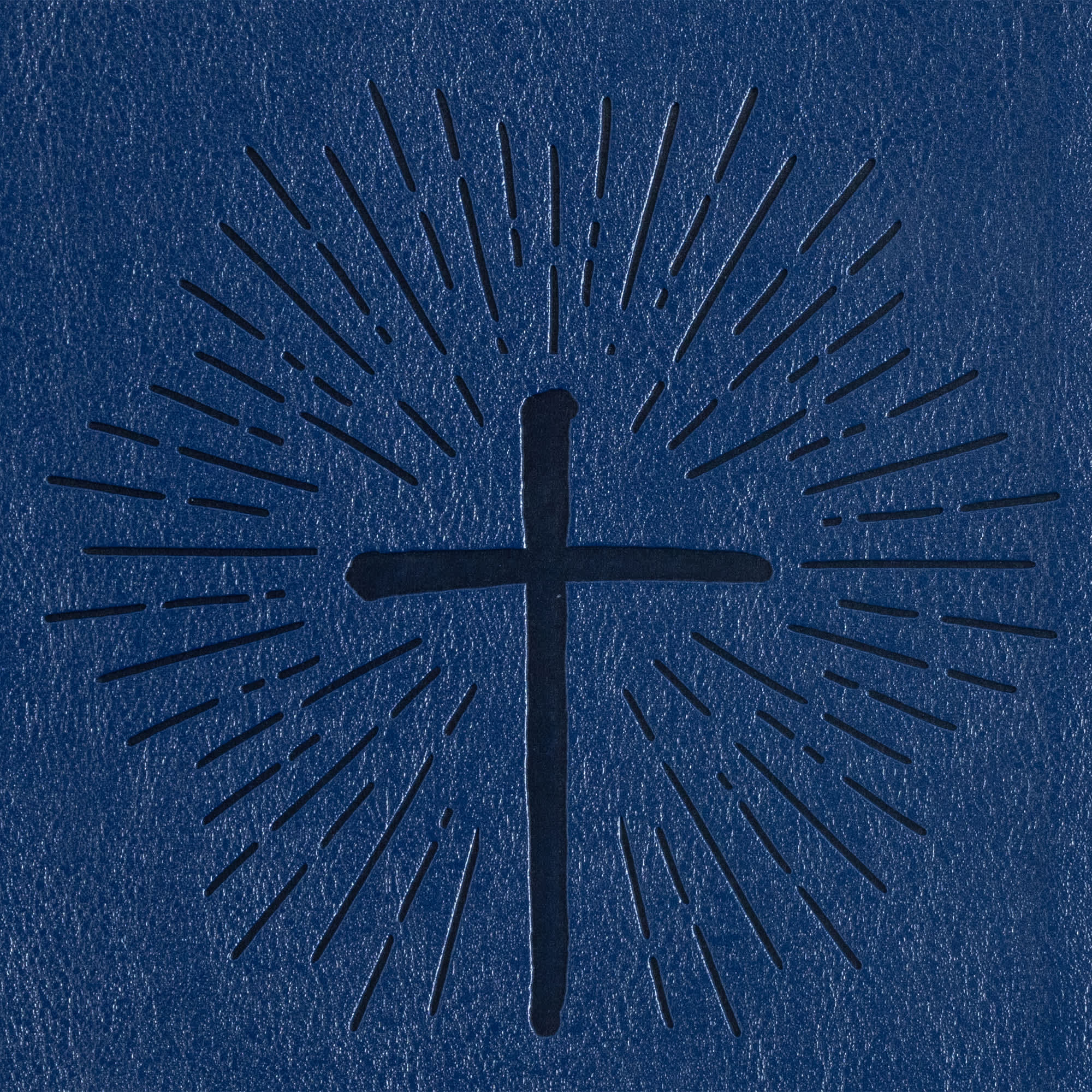 slide 10 of 11 for KJV One Big Story Bible, Royal Blue LeatherTouch