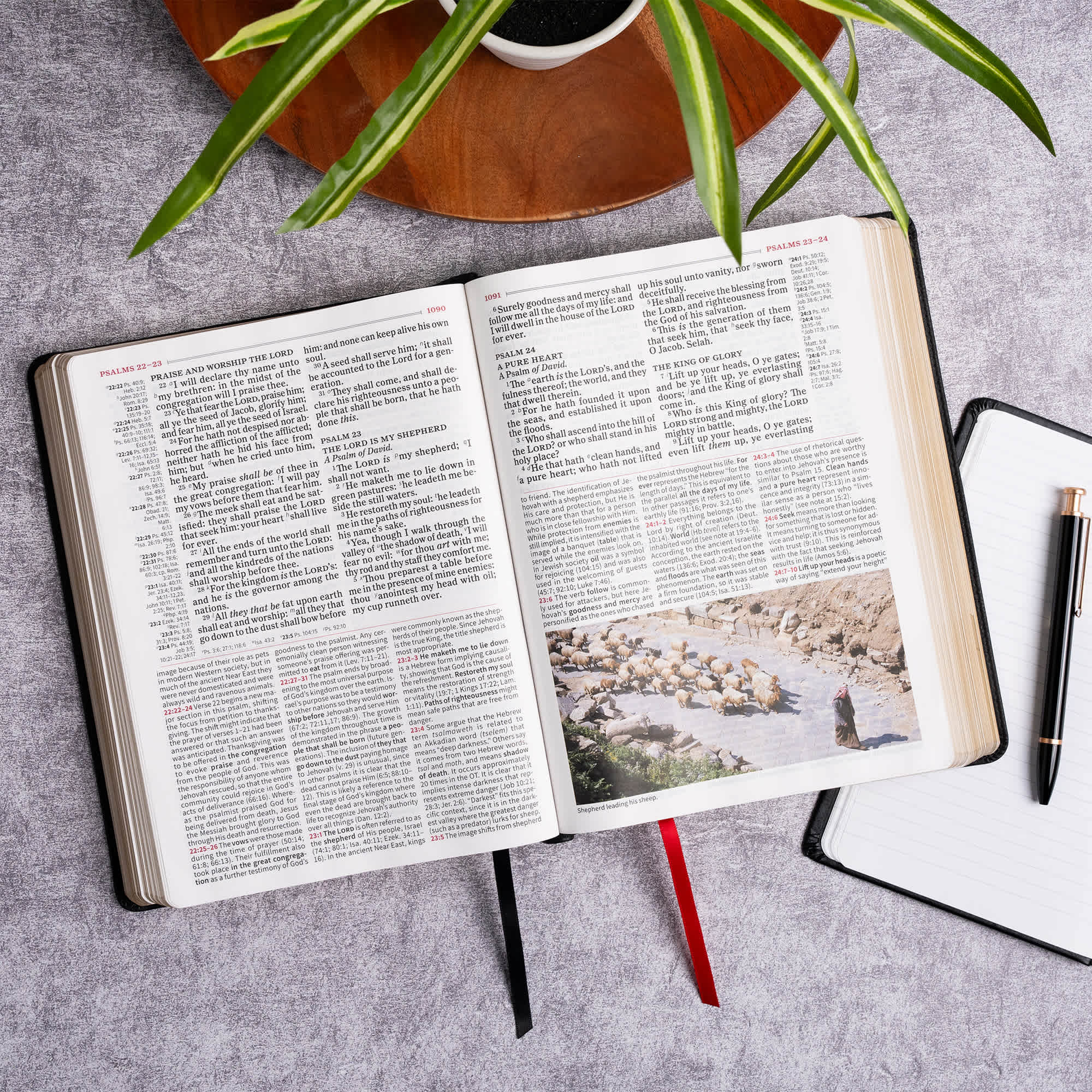 slide 5 of 11 for KJV Study Bible, Large Print Edition, Black LeatherTouch