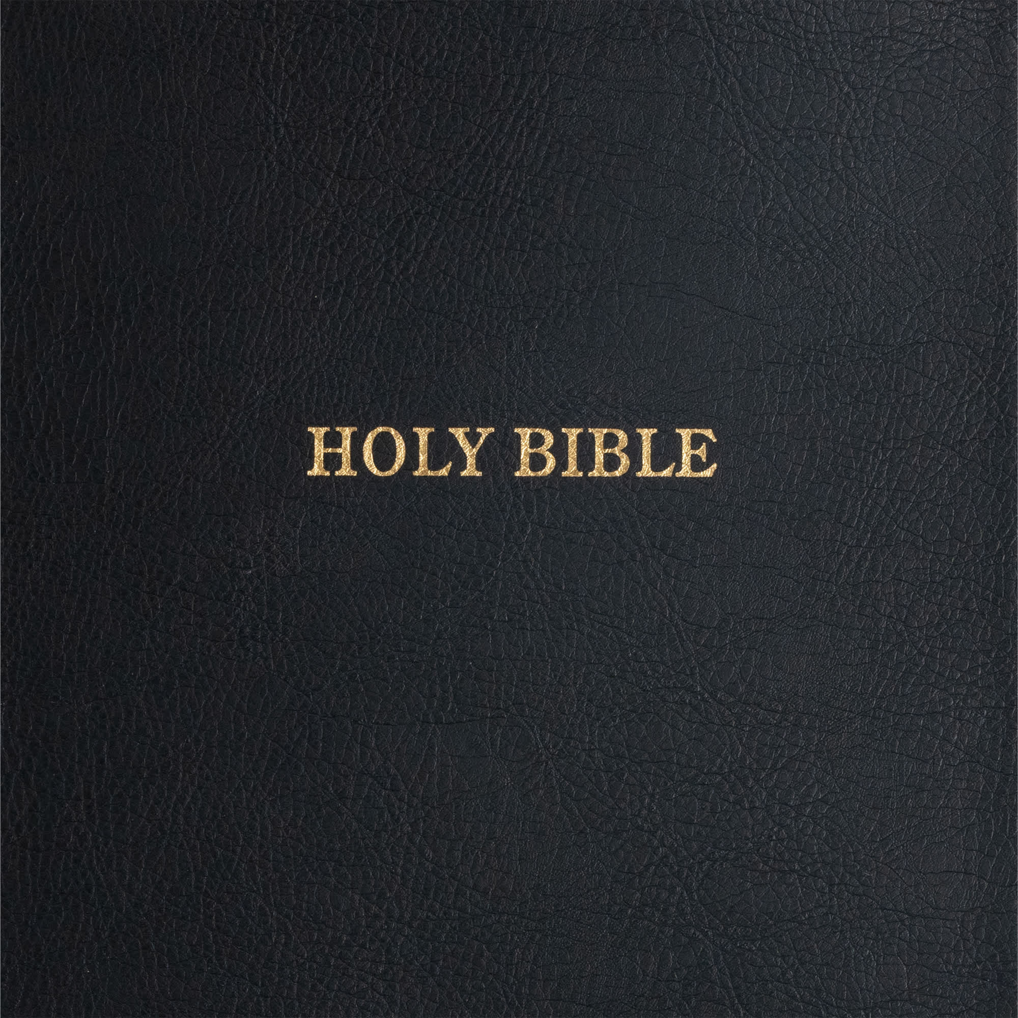 slide 10 of 11 for KJV Study Bible, Large Print Edition, Black LeatherTouch