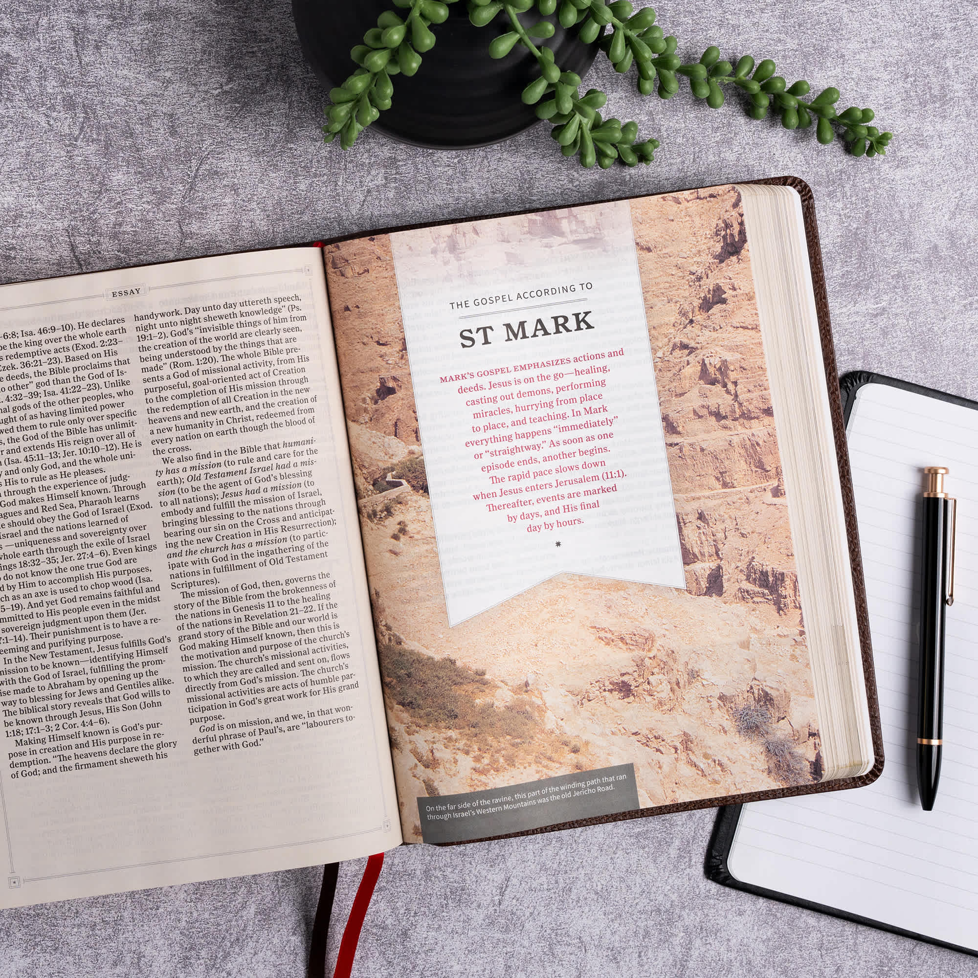 slide 6 of 11 for KJV Study Bible, Large Print Edition, Brown Bonded Leather