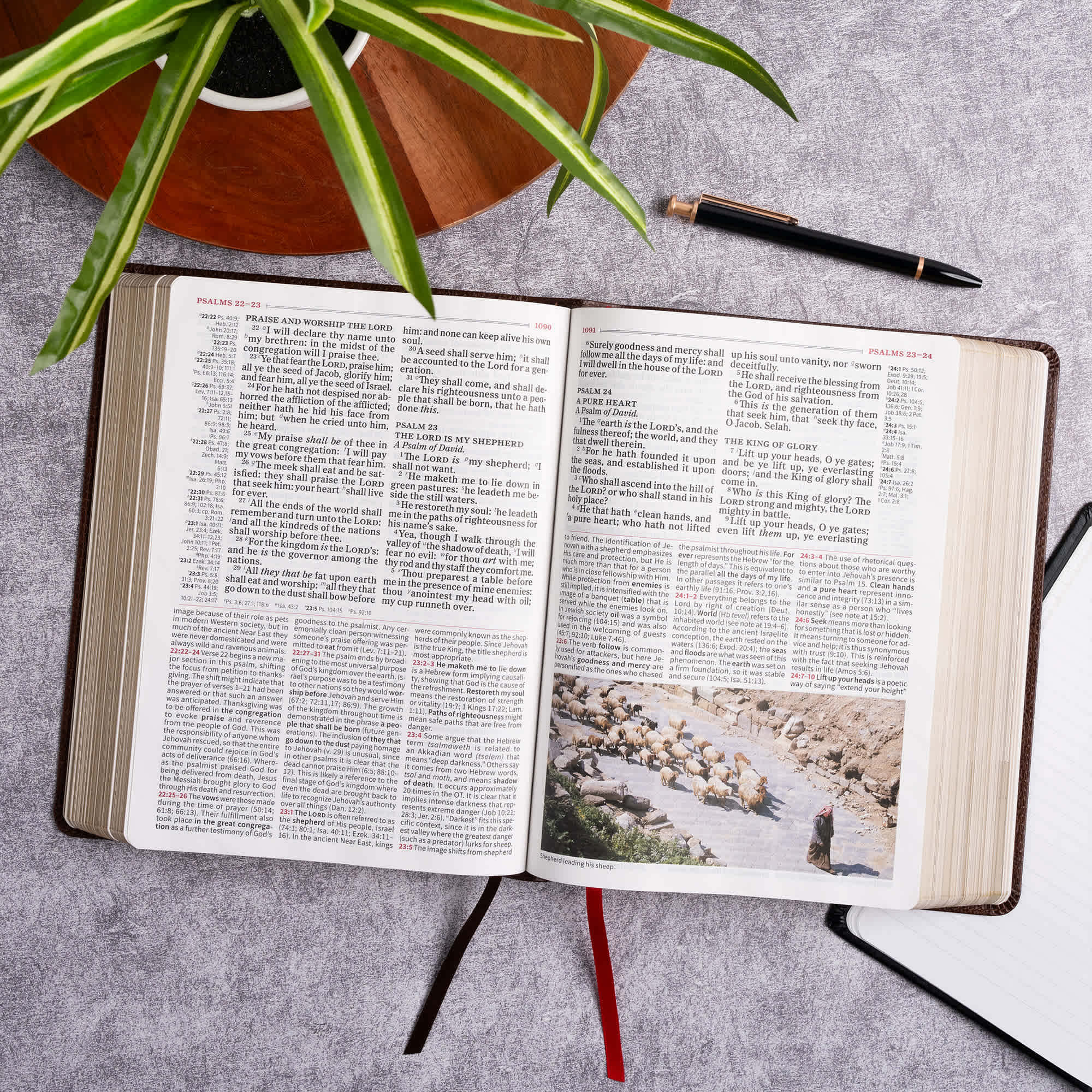 slide 8 of 11 for KJV Study Bible, Large Print Edition, Brown Bonded Leather