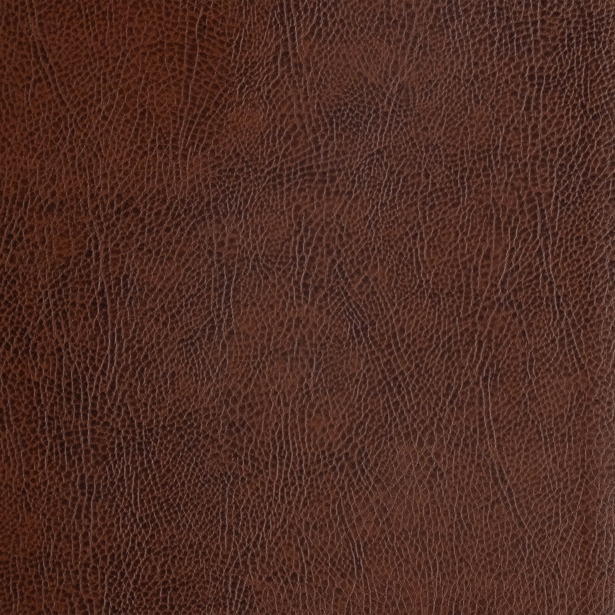 slide 10 of 11 for KJV Study Bible, Large Print Edition, Brown Bonded Leather